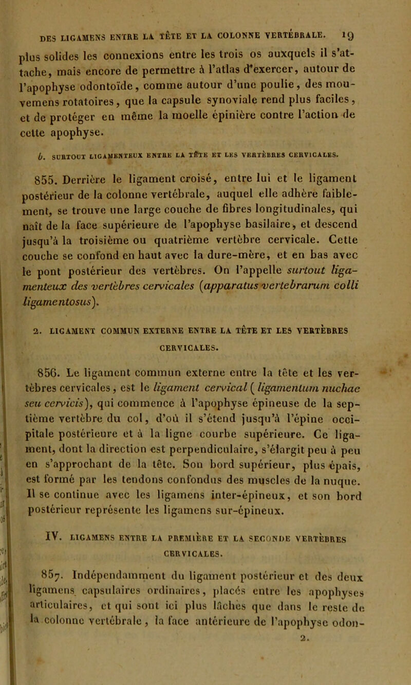 plus solides les connexions entre les trois os auxquels il s’at- tache, mais encore de permettre à l’atlas d’exercer, autour de l’apophyse odontoïde, comme autour d’une poulie, des mou- vemens rotatoires, que la capsule synoviale rend plus faciles, et de protéger en même la moelle épinière contre l’action de cette apophyse. b. SUHTOUT LIGAMENTEUX ENTEE LA TÊTE ET LES VEBTÈBRES CERVICALES. 855. Derrière le ligament croisé, entre lui et le ligament postérieur de la colonne vertébrale, auquel elle adhère faible- ment, se trouve une large couche de fibres longitudinales, qui naît delà face supérieure de l’apophyse basilaire, et descend jusqu’à la troisième ou quatrième vertèbre cervicale. Cette couche se confond en haut avec la dure-mère, et en bas avec le pont postérieur des vertèbres. On l’appelle surtout liga- menteux des vertèbres cervicales (apparatus vertebrarurn colli ligamentosus). 2. LIGAMENT COMMUN EXTERNE ENTRE LA TÈTE ET LES VERTEBRES CERVICALES. 85G. Le ligament commun externe entre la tête et les ver- tèbres cervicales, est le ligament cervical ( ligamenlurn nuchae seu cervicis), qui commence à l’apophyse épineuse de la sep- tième vertèbre du col, d’où il s’étend jusqu’à l’épine occi- pitale postérieure et à la ligne courbe supérieure. Ce liga- ment, dont la direction est perpendiculaire, s’élargit peu à peu en s’approchant de la tête. Son bord supérieur, plus épais, est formé par les tendons confondus des muscles de la nuque. Il se continue avec les ligamens inter-épineux, et son bord postérieur représente les ligamens sur-épineux. IV. LIGAMENS ENTRE LA PREMIERE ET LA SECONDE VERTEBRES CERVICALES. 85?. Indépendamment du ligament postérieur et des deux ligamens capsulaires ordinaires, placés entre les apophyses articulaires, et qui sont ici plus lâches que dans le reste de. la colonne vertébrale , la face antérieure de l’apophyse odon- 2.