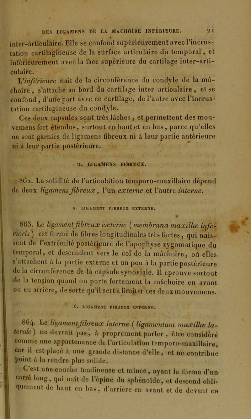 DES LIGAMENS DE LA MACHOIRE INFERIEURE. 2 1 • inter-articulaire. Elle se confond supérieurement avec l’incrus- tation cartilagineuse de la surface articulaire du temporal, et inférieurement avec la face supérieure du cartilage inter-arti- culaire. L'inférieure naît de la circonférence du condyle de la mâ- choire, s’attache au bord du cartilage inter-articulaire, et se confond, d’une part avec ce cartilage, de l’autre avec l’incrus- tation cartilagineuse du condyle. Ces deux capsules sont très lâches , et permettent des mou- vemens fort étendus, surtout en haut et en bas , parce qu’elles ne sont garnies de ligamens fibreux ni à leur partie antérieure ni à leur partie postérieure. 2. LIGAMENS FIBREUX. 8G2. La solidité de l’articulation temporo-maxillaire dépend de deux ligamens fibreux, l’un externe et l’autre interne. U. LIGAMENT FIBREUX EXTERNE. I 865. Le ligament fibreux externe ( membrana maxilice infé- rions) est formé de fibres longitudinales très fortes, qui nais- sent de l’extrémité postérieure de l’apophyse zygomatique du temporal, et descendent vers le col de la mâchoire, où elles s’attachent à la partie externe et un peu â la partie postérieure delà circonférence de la capsule synoviale. Il éprouve surtout de la tension quand on porte fortement la mâchoire en avant ou en arriére, de sorte qu’il sert à limiter ces deux mouvemens. b. LIGAMENT FIBREUX INTRRNE. 864. Le ligament fibreux interne ( ligahicntum maxillce la- térale) ne devrait pas, à proprement parler , être considéré comme une appartenance de l’articulation temporo-maxillaire, car il est placé à une grande distance d’elle, et ne contribue point à la rendre plus solide. C’est uhe couche tendineuse et mince, ayant la forme d’un carre long, qui naît de l’épine du sphénoïde, et descend obli- quement de haut en bas, d’arrière en avant et de devant en