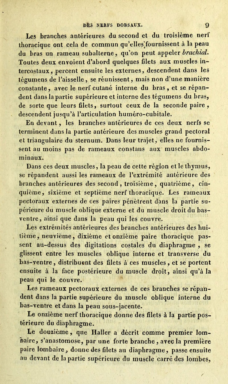 Les branches antérieures du second et du troisième nerl thoracique ont cela de commun qu’ellesTournissent à la peau du bras un rameau subalterne, qu’on peut appeler brachial. Toutes deux envoient d’abord quelques filets aux muscles in- tercostaux, percent ensuite les externes, descendent dans les tégumens de l’aisselle , se réunissent, mais non d’une manière constante, avec le nerf cutané interne du bras , et se répan- dent dans la partie supérieure et interne des tégumens du bras, de sorte que leurs filets, surtout ceux de la seconde paire , descendent jusqu’à l’articulation huméro-cubitale. En devant, les branches antérieures de ces deux nerfs se terminent dans la partie antérieure des muscles grand pectoral et triangulaire du sternum. Dans leur trajet, elles ne fournis- sent au moins pas de rameaux constans aux muscles abdo- minaux. Dans ces deux muscles, la peau de cette région et le thymus, se répandent aussi les rameaux de l’extrémité antérieure des branches antérieures des second, troisième, quatrième, cin- quième, sixième et septième nerf thoracique. Les rameaux pectoraux externes de ces paires pénètrent dans la partie su- périeure du muscle oblique externe et du muscle droit du bas- ventre, ainsi que dans la peau qui les couvre. Les extrémités antérieures des branches antérieures des hui- tième, neuvième, dixième et onzième paire thoracique pas- sent au-dessus des digitations costales du diaphragme , se glissent entre les muscles oblique interne et transverse du bas-ventre, distribuent des filets à ces muscles , et se portent ensuite à la face postérieure du muscle droit, ainsi qu’à la peau qui le couvre. Les rameaux pectoraux externes de ces branches se répan- dent dans la partie supérieure du muscle oblique interne du bas-ventre et dans la peau sous-jacente. Le onzième nerf thoracique donne des filets à la partie pos- térieure du diaphragme. Le douzième, que Haller a décrit comme premier lom- baire, s’anastomose, par une forte branche, avec la première paire lombaire, donne des filets au diaphragme, passe ensuite au devant de la partie supérieure du muscle carré des lombes,