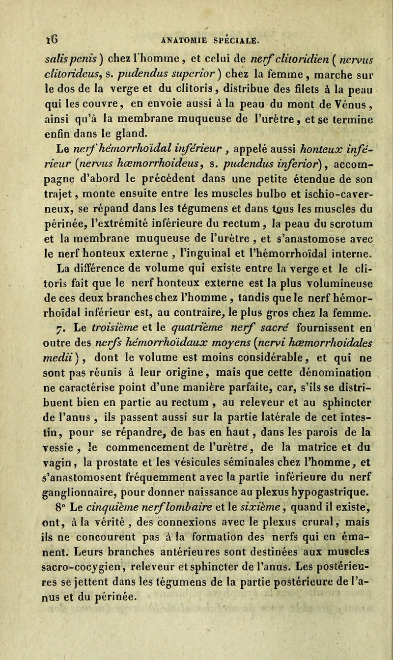 salis pénis) chez l'homme, et celui de nerf clitoridien ( nerms clilorideus, s. pudendus superior ) chez la femme , marche sur le dos de la verge et du clitoris, distribue des filets à la peau qui les couvre, en envoie aussi à la peau du mont de Vénus, ainsi qu’à la membrane muqueuse de l’urètre, et se termine enfin dans le gland. Le nefhémorrhoidal inférieur , appelé aussi honteux infé- rieur (nerms hœmorrhoideus, s. pudendus inferior), accom- pagne d’abord le précédent dans une petite étendue de son trajet, monte ensuite entre les muscles bulbo et ischio-caver- neux, se répand dans les tégumens et dans tcus les muscles du périnée, l’extrémité inférieure du rectum, la peau du scrotum et la membrane muqueuse de l’urètre , et s’anastomose avec le nerf honteux externe , l’inguinal et l’hémorrhoïdal interne. La différence de volume qui existe entre la verge et le cli- toris fait que le nerf honteux externe est la plus volumineuse de ces deux branches chez l’homme , tandis que le nerf hémor- rhoïdal inférieur est, au contraire, le plus gros chez la femme. 7. Le troisième et le quatrième nerf sacré fournissent en outre des nerfs hémorrhoïdaux moyens (nervi hœmorrhoidales medii), dont le volume est moins considérable, et qui ne sont pas réunis à leur origine, mais que cette dénomination ne caractérise point d’une manière parfaite, car, s’ils se distri- buent bien en partie au rectum , au releveur et au sphincter de l’anus, ils passent aussi sur la partie latérale de cet intes- tin, pour se répandre, de bas en haut, dans les parois de la vessie, îe commencement de l’urètre, de la matrice et du vagin, la prostate et les vésicules séminales chez l’homme, et s’anastomosent fréquemment avec la partie inférieure du nerf ganglionnaire, pour donner naissance au plexus hypogastrique. 8° Le cinquième nerf lombaire et le sixième, quand il existe, ont, à la vérité , des connexions avec le plexus crural, mais ils ne concourent pas à la formation des nerfs qui en éma- nent. Leurs branches antérieures sont destinées aux muscles sacro-cocygien , releveur et sphincter de l’anus. Les postérieu- res se jettent dans les tégumens de la partie postérieure de l’a- nus et du périnée.