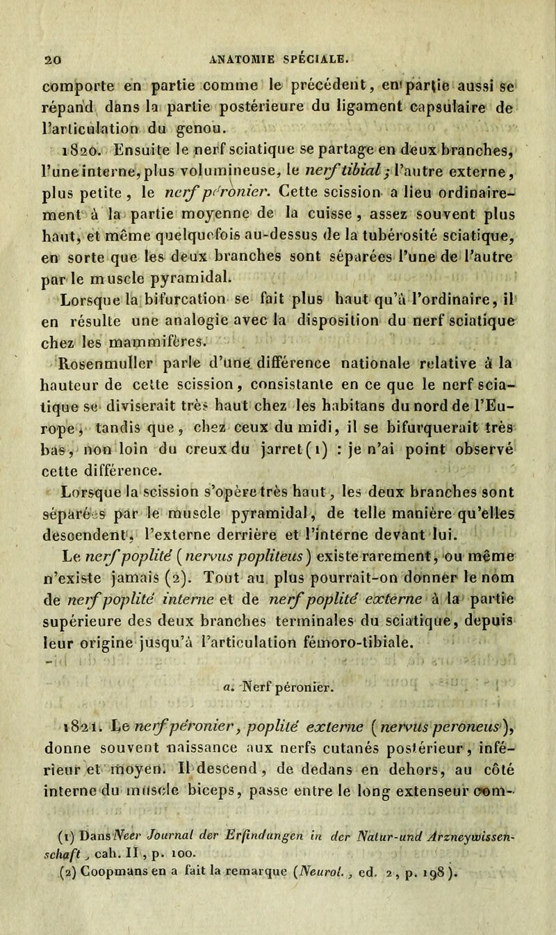 comporte en partie comme le précédent, en<partie aussi se répand dans la partie postérieure du ligament capsulaire de l’articulation du genou. 1820. Ensuite le nerf sciatique se partage en deux branches, l’uneinterne,plus volumineuse, le nerf tibial y l’autre externe, plus petite, le nerf péronier. Cette scission a lieu ordinaire- ment à la partie moyenne de la cuisse, assez souvent plus haut, et même quelquefois au-dessus de la tubérosité sciatique, en sorte que les deux branches sont séparées l’une de l’autre par le muscle pyramidal. Lorsque la bifurcation se fait plus haut qu’a l’ordinaire, il en résulte une analogie avec la disposition du nerf sciatique chez les mammifères. Rosenmuller parle d’une différence nationale relative à la hauteur de cette scission, consistante en ce que le nerf scia- tique se diviserait très haut chez les habitans du nord de l’Eu- rope i tandis que, chez ceux du midi, il se bifurquerait très bas, non loin du creux du jarret(i) : je n’ai point observé cette différence. Lorsque la scission s’opère très haut, les deux branches 9ont séparé s par le muscle pyramidal, de telle manière qu’elles descendent1 2, l’externe derrière et l’interne devant lui. Le nerf poplité (nervus popliteus) existe rarement, ou même n’existe jamais (2). Tout au plus pourrait-on donner le nom de nerf poplité interne et. de nerf poplité externe à la partie supérieure des deux branches terminales du sciatique, depuis leur origine jusqu’à l’articulation fémoro-tibiale. a. Nerf péronier. 1821. Le nerf péronier, poplité externe (nerms peroneus), donne souvent naissance aux nerfs cutanés postérieur, infé- rieur et moyen. Il descend, de dedans en dehors, au côté interne du muscle biceps, passe entre le long extenseur 00m- (1) Dans Neer Journal der Erfindungen in der Nalur-und Arzneywissen- schaft , cah. II, p. 100. (2) Coopmans en a fait la remarque {Neurol., ed. 2, p. 198).