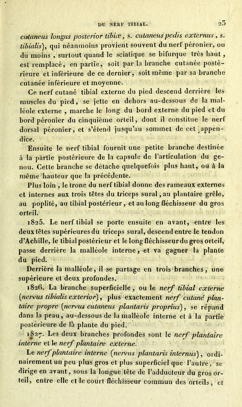 DU SERF TIBIAt. a3 cutaneus longus posterior tibiæ, s. cutaneus pedis externus, s. tibialis), qui néanmoins provient souvent du nerf péronier, ou du moins , surtout quand le sciatique se bifurque très haut, est remplacé, en partie, soit par la branche cutanée posté- rieure et inférieure de ce dernier, soit même par sa branche cutanée inférieure et moyenne. Ce nerf cutané tibial externe du pied descend derrière les mu-scies du pied, se jette en dehors au-dessous de la mal- léole externe , marche le long du bord externe du pied et du bord péronier du cinquième orteil, dont il constitue le nerf dorsal péronier, et s’étend jusqu’au sommet de cet .appen- dice. Ensuite le nerf tibial fournit une petite branche destinée à la partie postérieure de la capsule de l’articulation du ge- nou. Cette branche se détache quelquefois plus haut, ou à la même hauteur que la précédente. Plus loin , le tronc du nerf tibial donne des rameaux externes et internes aux trois têtes du triceps sural,au plantaire grêle, au poplité, au tibial postérieur, et au long fléchisseur du gros orteil. 1825. Le nerf tibial se porte ensuite en avant, entre les deux têtes supérieures du triceps sural, descend entre le tendon d’Achille, le tibial postérieur et le long fléchisseur du gros orteil, passe derrière la malléole interne, et va gagner la plante du pied. Derrière la malléole, il se partage en trois branches, une supérieure et deux profondes. 1826. La branche superficielle, ou le nerf tibial externe {nervus tibialis exterior), plus exactement nerf cutané plan- taire propre (nervus cutaneus plantaris proprius), se répand dans la peau, au-dessous de la malléole interne et à la partie postérieure de la plante du pied. 1827. Les deux branches profondes sont le nerf plantaire interne et le nerf plantaire externe. Le nef plantaire interne (nervus plantaris internus), ordi- nairement un peu plus gros et plus superficiel que l’autre, se dirige en avant, sous la longue tête de l’adducteur du gros or- teil, entre elle et le court fléchisseur commun des orteils, et