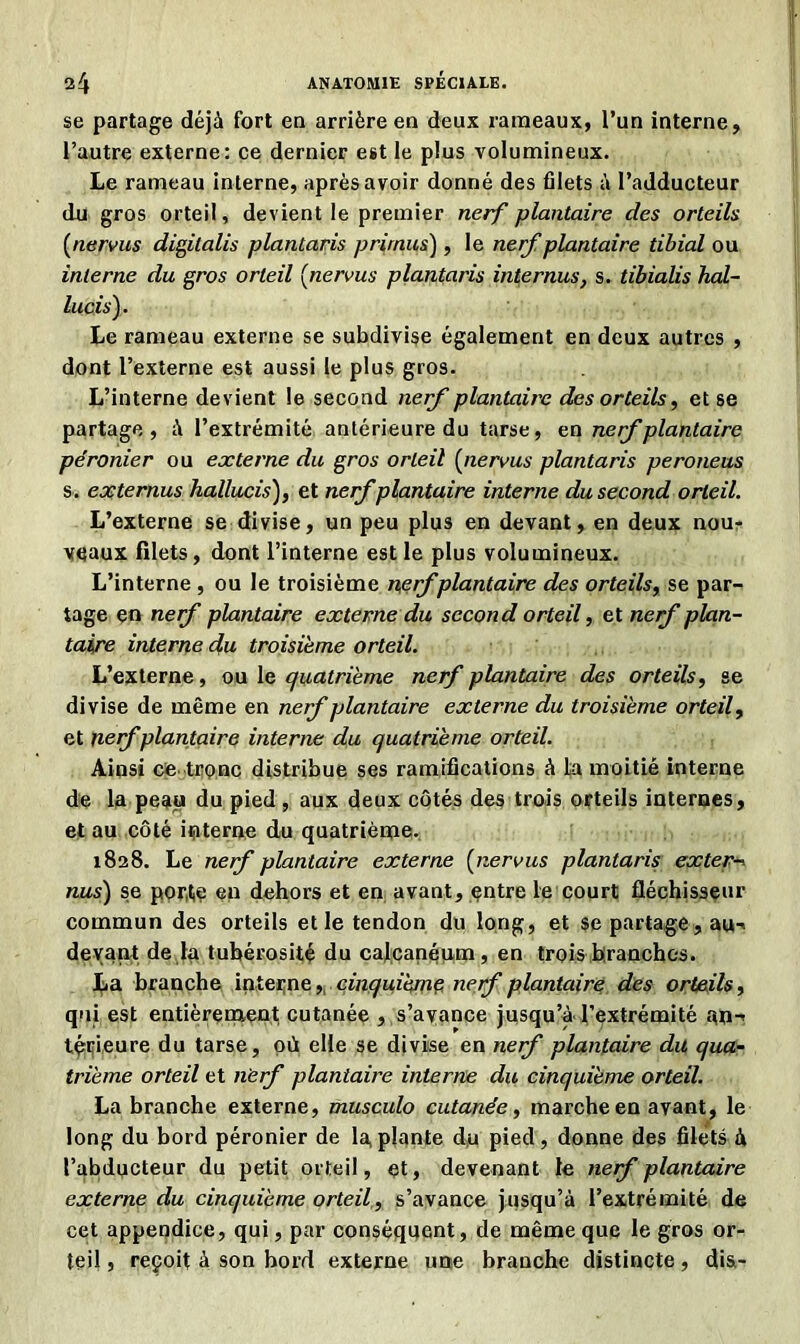 se partage déjà fort en arrière en deux rameaux, l’un interne, l’autre externe: ce dernier est le plus volumineux. Le rameau interne, après avoir donné des filets à l’adducteur du gros orteil, devient le premier nerf plantaire des orteils (nervus digilalis plantaris primas) , le nerf plantaire tibial ou interne du gros orteil (nervus plantaris internus, s. tibialis hal- lucis). Le rameau externe se subdivise également en deux autres , dont l’externe est aussi le plus gros. L’interne devient le second nerf plantaire des orteils, et se partage, à l’extrémité antérieure du tarse, en nerf plantaire péronier ou externe du gros orteil (nervus plantaris peroneus s. externus hallucis), et nerfplantaire interne du second orteil. L’externe se divise, un peu plus en devant, en deux nou- veaux filets, dont l’interne est le plus volumineux. L’interne , ou le troisième nerfplantaire des orteils, se par- tage en nerf plantaire externe du second orteil, et nerf plan- taire interne du troisième orteil. L’externe, ou le quatrième nerf plantaire des orteils, se divise de même en nerf plantaire externe du troisième orteil, et nerfplantaire interne du quatrième orteil. Ainsi ce tronc distribue ses ramifications à la moitié interne de la peau du pied, aux deux côtés des trois orteils internes, et au côté interne du quatrième. 1828. Le nerf plantaire externe (nervus plantaris extern nus) se porte en dehors et en avant, çntre le court fléchisseur commun des orteils et le tendon du long, et se partage, au-< devant de la tubérosité du calcanénm, en trois branches. La branche interne, cinquième nerf plantaire des orteils, qui est entièrement cutanée , s’avance jusqu’à l’extrémité an- térieure du tarse, où elle se divise en nerf plantaire du qua- trième orteil et nerf plantaire interne du cinquième orteil. La branche externe, musculo cutanée, marche en avant, le long du bord péronier de la plante du pied, donne des filets à l’abducteur du petit orteil, et, devenant le nerf plantaire externe du cinquième orteil, s’avance jusqu’à l’extrémité de cet appendice, qui, par conséquent, de même que le gros or- teil , reçoit à son bord externe une branche distincte, dis-