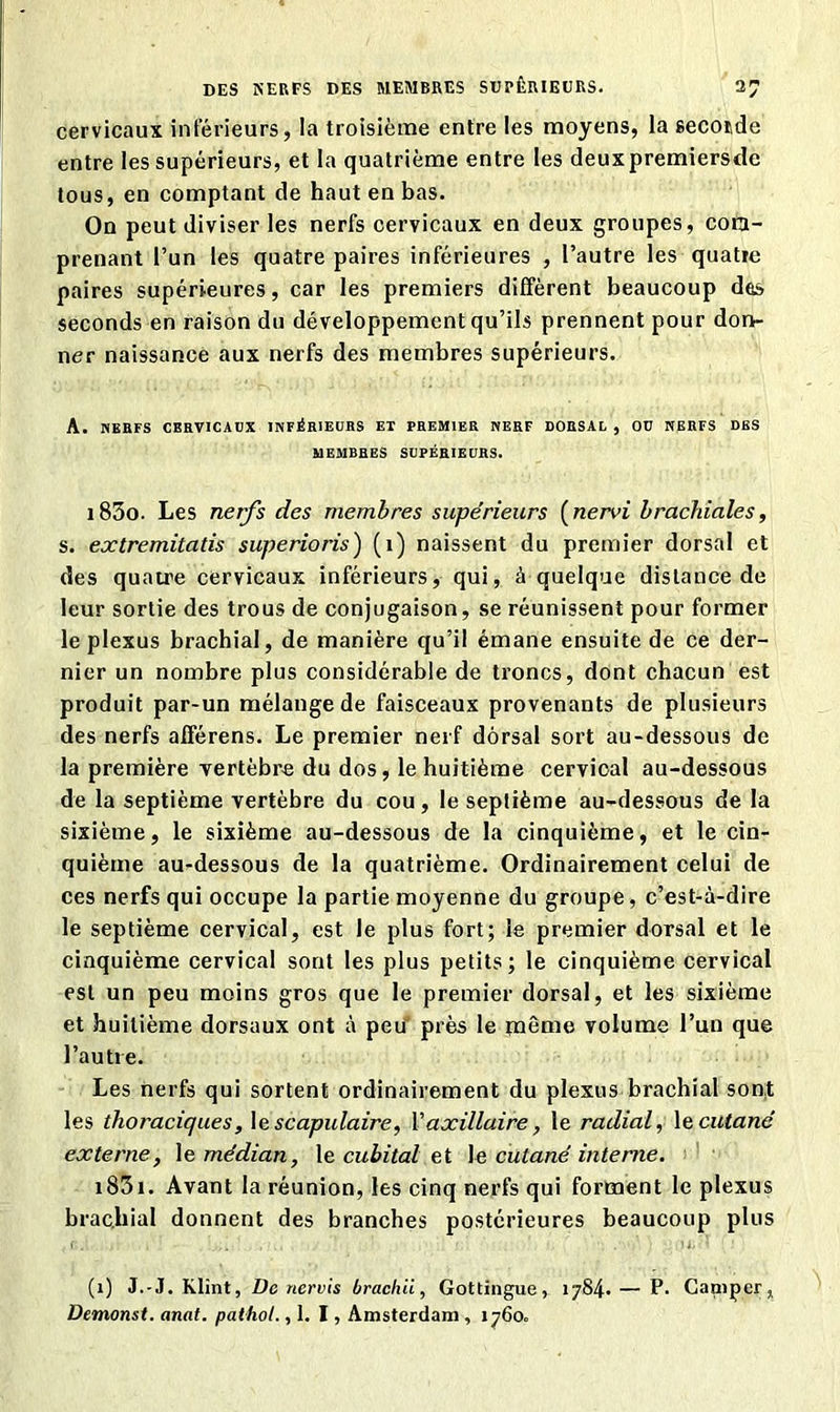 cervicaux inférieurs, la troisième entre les moyens, la seconde entre les supérieurs, et la quatrième entre les deuxpremierstle tous, en comptant de haut en bas. On peut diviser les nerfs cervicaux en deux groupes, com- prenant l’un les quatre paires inférieures , l’autre les quatre paires supérieures, car les premiers diffèrent beaucoup des seconds en raison du développement qu’ils prennent pour don- ner naissance aux nerfs des membres supérieurs. A. NERFS CERVICAUX INFÉRIEURS El PREMIER NERF DORSAL , OU NERFS DES MEMBRES SUPÉRIEURS. i83o. Les nerfs des membres supérieurs (nervi brachiales, s. extremitatis superioris) (1) naissent du premier dorsal et des quatre cervicaux inférieurs, qui, à quelque distance de leur sortie des trous de conjugaison, se réunissent pour former le plexus brachial, de manière qu’il émane ensuite de ce der- nier un nombre plus considérable de troncs, dont chacun est produit par-un mélange de faisceaux provenants de plusieurs des nerfs afférens. Le premier nerf dorsal sort au-dessous de la première vertèbre du dos, le huitième cervical au-dessous de la septième vertèbre du cou, le septième au-dessous de la sixième, le sixième au-dessous de la cinquième, et le cin- quième au-dessous de la quatrième. Ordinairement celui de ces nerfs qui occupe la partie moyenne du groupe, c’est-à-dire le septième cervical, est le plus fort; le premier dorsal et le cinquième cervical sont les plus petits; le cinquième cervical est un peu moins gros que le premier dorsal, et les sixième et huitième dorsaux ont à peu près le même volume l’un que l’autre. Les nerfs qui sortent ordinairement du plexus brachial sont les thoraciques, le scapulaire, Vaxillaire, le radial, le cutané externe, le médian, le cubital et le cutané interne. iS5i. Avant la réunion, les cinq nerfs qui forment le plexus brachial donnent des branches postérieures beaucoup plus (1) J.-J. Klînt, De nervis brachii, Gottingue, 1784. — P. Camper, Demonst. anat. pathol., 1. I, Amsterdam , 1760.