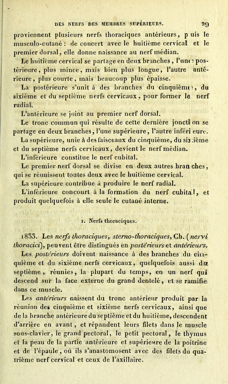 proviennent plusieurs nerfs thoraciques antérieurs, p uis le musculo-cutané : de concert avec le huitième cervical et le premier dorsal, elle donne naissance au nerf médian. Le huitième cervical se partage en deux branches , Fun< i pos- térieure, plus mince, mais bien plus longue, l’autre anté- rieure, plus courte, mais beaucoup plus épaisse. La postérieure s’unit à des branches du cinquième;, du sixième et du septième nerfs cervicaux, pour former le nerf radial. L’antérieure se joint au premier nerf dorsal. Le tronc commun qui résulte de cette dernière joncti on se partage en deux branches, l’une supérieure, l’autre inféri eure. La supérieure, unie A des faisceaux du cinquième, du sis :ième et du septième nerfs cervicaux, devient le nerf médian. L’inférieure constitue le nerf cubital. Le premier nerf dorsal se divise en deux autres bran ches, qui se réunissent toutes deux avec le huitième cervical. La supérieure contribue à produire le nerf radial. L’inférieure concourt à la formation du nerf cubitad, et produit quelquefois à elle seule le cutané interne. 1. Nerfs thoraciques. 1833. Les nerf s thoraciques, sterno-thoraciques, Ch. (neivi thoracici), peuvent être distingués en postérieurs et antérieurs. Les postérieurs doivent naissance à des branches du cin- quième et du sixième nerfs cervicaux, quelquefois aussi dut septième, réunies, la plupart du temps, en un nerf qui descend sur la face externe du grand dentelé, et se ramifie dans ce muscle. Les antérieurs naissent du tronc antérieur produit par la réunion des cinquième et sixième nerfs cervicaux, ainsi que delà branche antérieure du septième et du huitième, descendent d’arrière en avant, et répandent leurs filets dans le muscle sous-clavier, le grand pectoral, le petit pectoral, le thymus et la peau de la partie antérieure et supérienre de la poitrine et de l’épaule, où ils s’anastomosent avec des filets du qua- trième nerf cervical et ceux de l’axillaire.