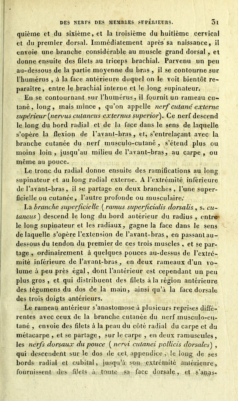 quième et du sixième, et la troisième du huitième cervical et du premier dorsal. Immédiatement après sa naissance, il envoie une branche considérable au muscle grand dorsal , et donne ensuite des filets au triceps brachial. Parvenu un peu au-dessous de la partie moyenne du bras , il se contourne sur l’humérus , à la face antérieure duquel on le voit bientôt re- paraître, entre le brachial interne et le long supinateur. En se contournant sur l’humérus, il fournit un rameau cu- tané, long, mais mince , qu’on appelle nerf cutané externe supérieur fervus cutaneus externus superior). Ce nerf descend le long du bord radial et de la face dans le sens de laquelle s’opère la flexion de l’avant-bras, et, s’entrelaçant avec la branche cutanée du nerf musculo-cutané , s’étend plus ou moins loin, jusqu’au milieu de l’avant-bras, au carpe, ou même au pouce. Le tronc du radial donne ensuite des ramifications au long supinateur et au long radial externe. A l’extrémité inférieure de l’avant-bras, il se partage en deux branches, l’une super- ficielle ou cutanée, l’autre profonde ou musculaire.' La branche superficielle ( ramus superficialis dorsalis , s. cu- taneus) descend le long du bord antérieur du radius , entre le long supinateur et les radiaux, gagne la face dans le sens de laquelle s’opère l’extension de l’avant-bras, en passant au- dessous du tendon du premier de ces trois muscles , et se par- tage , ordinairement à quelques pouces au-dessus de l’extré- mité inférieure de l’avant-bras, en deux rameaux d’un vo- lume à peu près égal, dont l’antérieur est cependant un peu plus gros , et qui distribuent des filets à la région antérieure des légumens du dos de la main, ainsi qu’à la face dorsale des trois doigts antérieurs. Le rameau antérieur s’anastomose à plusieurs reprises diffé- rentes avec ceux de la branche cutanée du nerf musculo-cu- tané , envoie des filets à la peau du côté radial du carpe et du métacarpe , et se partage, sur le carpe , en deux ramuscuies, les nerfs dorsaux du pouce ( nervi cutanei pollicis dorsales) , qui descendent sur le dos de cet, appendice , le long de ses bords radial et cubital, jusqu’à son extrémité antérieure, fournissent des filets à toute sa face dorsale, et s’anas-