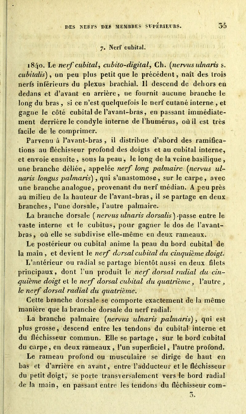 7. Nerf cubital. 1840. Le nerf cubital, cubito-digital, Ch. [nervus ulnaris s. cubitalis), un peu plus petit que le précédent, naît des trois nerfs inférieurs du plexus brachial. 11 descend de dehors en dedans et d’avant en arrière, 11e fournit aucune branche le long du bras , si ce n’est quelquefois le nerf cutané interne , et gagne le côté cubital de l’avant-bras, en passant immédiate- ment derrière le condyle interne de l’humérus, où il est très facile de le comprimer. Parvenu à l’avant-bras, il distribue d’abord des ramifica- tions au fléchisseur profond des doigts et au cubital interne, et envoie ensuite , sous la peau, le long de la veine basilique, une branche déliée, appelée nerf long palmaire (nervus ul- naris longus palmaris), qui s’anastomose, sur le carpe, avec une branche analogue, provenant du nerf médian. A peu près au milieu de la hauteur de l’avant-bras, il se partage en deux branches, l’une dorsale, l’autre palmaire. La branche dorsale ( nervus ulnaris dorsalis)-passe entre le vaste interne et le cubitus, pour gagner le dos de l’avant- bras, où elle se subdivise elle-même en deux rameaux. Le postérieur ou cubital anime la peau du bord cubital de la main , et devient le nef dorsal cubital du cinquième doigt. L’antérieur ou radial se partage bientôt aussi en deux filets principaux, dont î’un produit le nerf dorsal radial du cin- quième doigt et le nerf dorsal cubital du quatrième, l’autre , le nerf dorsal radial du quatrième. Cette branche dorsale se comporte exactement de la même manière que la branche dorsale du nerf radial. La branche palmaire (nervus ulnaris palmaris), qui est plus grosse, descend entre les tendons du cubital interne et du fléchisseur commun. Elle se partage, sur le bord cubital du carpe, en deux rameaux , l’un superficiel, l’autre profond. Le rameau profond ou musculaire se dirige de haut en bas et d’arrière en avant, entre l’adducteur et le fléchisseur du petit doigt, se porte transversalement vers le bord radial de la main, en passant entre les tendons du fléchisseur com-