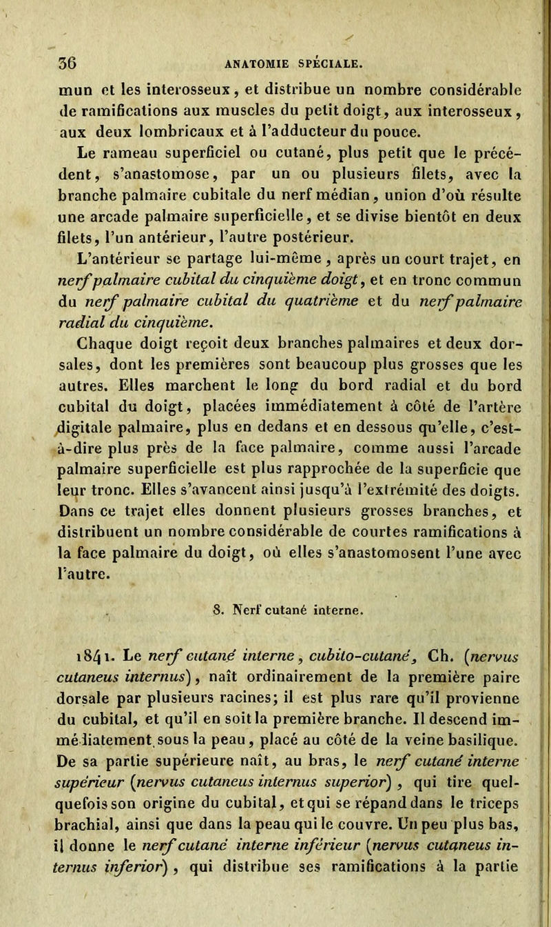 mun et les interosseux, et distribue un nombre considérable de ramifications aux muscles du petit doigt, aux interosseux , aux deux lombricaux et à l’adducteur du pouce. Le rameau superficiel ou cutané, plus petit que le précé- dent, s’anastomose, par un ou plusieurs filets, avec la branche palmaire cubitale du nerf médian, union d’où résulte une arcade palmaire superficielle, et se divise bientôt en deux filets, l’un antérieur, l’autre postérieur. L’antérieur se partage lui-même , après un court trajet, en nerf palmaire cubital du cinquième doigt, et en tronc commun du nerf palmaire cubital du quatrième et du nerf palmaire radial du cinquième. Chaque doigt reçoit deux branches palmaires et deux dor- sales, dont les premières sont beaucoup plus grosses que les autres. Elles marchent le long du bord radial et du bord cubital du doigt, placées immédiatement à côté de l’artère ^digitale palmaire, plus en dedans et en dessous qu’elle, c’est- à-dire plus près de la face palmaire, comme aussi l’arcade palmaire superficielle est plus rapprochée de la superficie que leur tronc. Elles s’avancent ainsi jusqu’à l’extrémité des doigts. Dans ce trajet elles donnent plusieurs grosses branches, et distribuent un nombre considérable de courtes ramifications à la face palmaire du doigt, où elles s’anastomosent l’une avec l’autre. 8. Nerf cutané interne. 1841. Le nerf cutané interne, cubilo-cutané, Ch. (nervus cutaneus internus), naît ordinairement de la première paire dorsale par plusieurs racines; il est plus rare qu’il provienne du cubital, et qu’il en soit la première branche. Il descend im- médiatement, sous la peau , placé au côté de la veine basilique. De sa partie supérieure naît, au bras, le nerf cutané interne supérieur (nervus cutaneus inlernus superior) , qui tire quel- quefois son origine du cubital, et qui se répand dans le triceps brachial, ainsi que dans la peau qui le couvre. Un peu plus bas, il donne le nerf cutané interne inférieur [nervus cutaneus in- ternus inferior), qui distribue ses ramifications à la partie