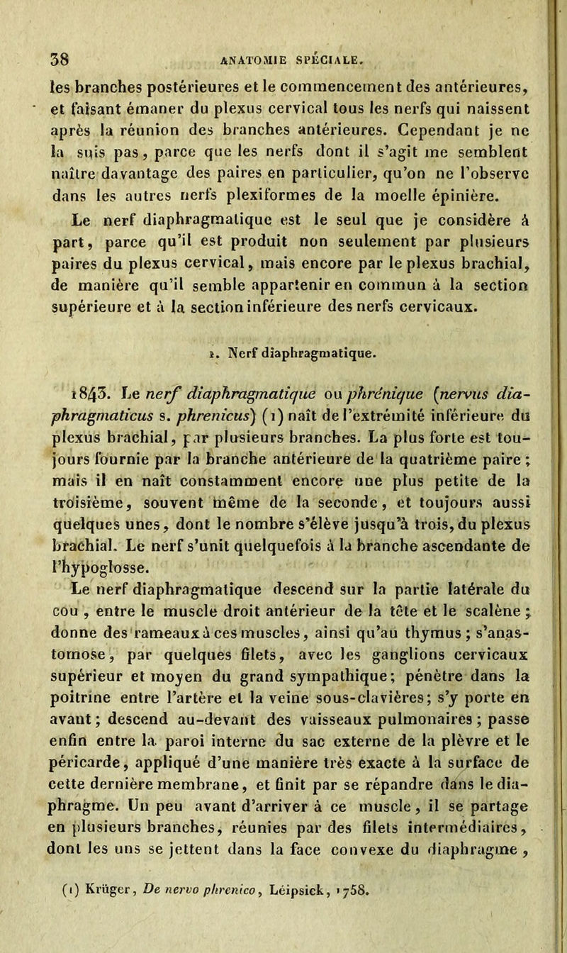 les branches postérieures et le commencement des antérieures, et faisant émaner du plexus cervical tous les nerfs qui naissent après la réunion des branches antérieures. Cependant je ne la suis pas, parce que les nerfs dont il s’agit me semblent naître davantage des paires en particulier, qu’on ne l’observe dans les autres nerfs plexiformes de la moelle épinière. Le nerf diaphragmatique est le seul que je considère à part, parce qu’il est produit non seulement par plusieurs paires du plexus cervical, mais encore par le plexus brachial, de manière qu’il semble appartenir en commun à la section supérieure et à la section inférieure des nerfs cervicaux. i. Nerf diaphragmatique. i843. Le nerf diaphragmatique on phrénique (nervus dia- phragmaticus s. phrenicus) (i)naît de l’extrémité inférieure du plexus brachial, par plusieurs branches. La plus forte est tou- jours fournie par la branche antérieure de la quatrième paire ; mais il en naît constamment encore une plus petite de la troisième, souvent tnême de la seconde, et toujours aussi quelques unes, dont le nombre s’élève jusqu’à trois,du plexus brachial. Le nerf s’unit quelquefois à la branche ascendante de l’hypoglosse. Le nerf diaphragmatique descend sur la partie latérale du cou , entre le muscle droit antérieur de la tête et le scalène ; donne des rameaux à ces muscles, ainsi qu’au thymus ; s’anas- tomose, par quelques filets, avec les ganglions cervicaux supérieur et moyen du grand sympathique; pénètre dans la poitrine entre l’artère et la veine sous-clavières; s’y porte en avant ; descend au-devant des vaisseaux pulmonaires ; passe enfin entre la paroi interne du sac externe de la plèvre et le péricarde, appliqué d’une manière très exacte à la surface de cette dernière membrane, et finit par se répandre dans le dia- phragme. Un peu avant d’arriver à ce muscle, il se partage en plusieurs branches, réunies par des filets intermédiaires, dont les uns se jettent dans la face convexe du diaphragme , (1) Krüger, De nervo phrcnico, Léipsick, 1758.