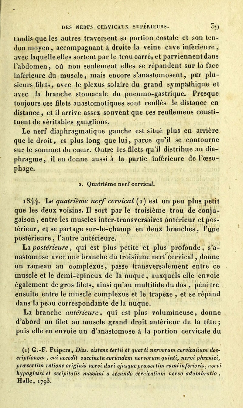 tandis que les autres traversent sa portion costale et son ten- don moyen, accompagnant à droite la veine cave inférieure, avec laquelle elles sortent par le trou carré, et parviennentdans l’abdomen, où non seulement elles se répandent sur la face inférieure du muscle, mais encore s’anastomosent, pa^ plu- sieurs filets, avec le plexus solaire du grand sympathique et avec la branche stomacale du pneumo-gastrique. Presque toujours ces filets auaslomoliques sont renflés Je distance en distance, et il arrive assez souvent que ces renflemens consti- tuent de véritables ganglions. Le nerf diaphragmatique gauche est situé plus en arrière que le droit, et plus long que lui, parce qu’il se contourne sur le sommet du cœur. Outre les filets qu’il distribue au dia- phragme, il en donne aussi à la partie inférieure de l’œso- phage. 2. Quatrième nerf cervical. 1844- Le quatrième nerf cervical (î) est un peu plus petit que les deux voisins. Il sort par le troisième trou de conju- gaison, entre les muscles inter-transversaires antérieur etpos- térieur, et se partage sur-le-champ en deux branches, I’yjie postérieure, l’autre antérieure. La postérieure, qui est plus petite et plus profonde, s’a- nastomose avec une branche du troisième nerf cervical, donne un rameau au complexus, passe transversalement entre ce muscle et le demi-épineux de la nuque, auxquels elle envoie également de gros filets, ainsi qu’au mullifide du dos , pénètre ensuite entre le muscle complexus et le trapèze , et se répand dans la peau correspondante delà nuque. La branche antérieure, qui est plus volumineuse, donne d’abord un filet au muscle grand droit antérieur de la tête ; puis elle en envoie un d’anastomose à la portion cervicale du (i) G.-F. Peipers, Diss. sistens tertii et quarti nervorum cervicalium des- criptionem , cui accedit succincta eorundem nervorum quinti, nervi phrenici, preesertim ratione originis nervi dtiri ejusque prœsertim ramiinferioris, nervi liypoglossi et occipitalis maximi a secundo cervicalium nervo adumbratio , Halle, 1793.