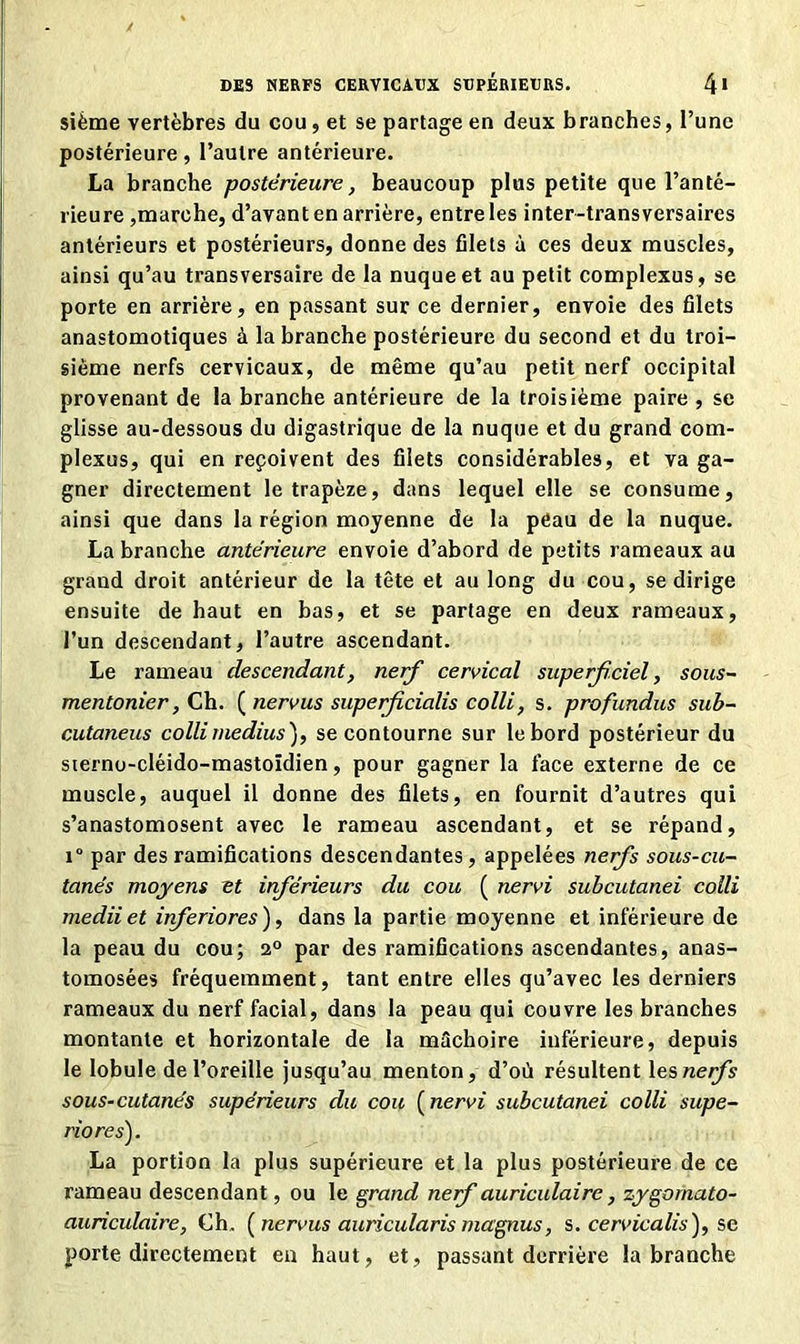 sième vertèbres du cou, et se partage en deux branches, l’une postérieure, l’autre antérieure. La branche postérieure, beaucoup plus petite que l’anté- rieure ,marche, d’avant en arrière, entre les inter-transversaires antérieurs et postérieurs, donne des filets à ces deux muscles, ainsi qu’au transversaire de la nuque et au petit complexus, se porte en arrière, en passant sur ce dernier, envoie des filets anastomotiques à la branche postérieure du second et du troi- sième nerfs cervicaux, de même qu’au petit nerf occipital provenant de la branche antérieure de la troisième paire , se glisse au-dessous du digastrique de la nuque et du grand com- plexus, qui en reçoivent des filets considérables, et va ga- gner directement le trapèze, dans lequel elle se consume, ainsi que dans la région moyenne de la peau de la nuque. La branche antérieure envoie d’abord de petits rameaux au grand droit antérieur de la tête et au long du cou, se dirige ensuite de haut en bas, et se partage en deux rameaux, l’un descendant, l’autre ascendant. Le rameau descendant, nerf cervical superficiel, sous- mentonier, Ch. ( nervus superficialis colli, s. profundus sub- cutaneus colli médius'), se contourne sur le bord postérieur du sterno-cléido-mastoïdien, pour gagner la face externe de ce muscle, auquel il donne des filets, en fournit d’autres qui s’anastomosent avec le rameau ascendant, et se répand, 1° par des ramifications descendantes, appelées nerfs sous-cu- tanés moyens et inférieurs du cou ( nervi subcutanei colli mediiet inferiores), dans la partie moyenne et inférieure de la peau du cou; 2° par des ramifications ascendantes, anas- tomosées fréquemment, tant entre elles qu’avec les derniers rameaux du nerf facial, dans la peau qui couvre les branches montante et horizontale de la mâchoire inférieure, depuis le lobule de l’oreille jusqu’au menton, d’où résultent les nerfs sous-cutanés supérieurs du cou ( nervi subcutanei colli supe- riores). La portion la plus supérieure et la plus postérieure de ce rameau descendant, ou le grand nerf auriculaire, zygornato- auriculaire, €h. (nervus auricularis magnus, s. cervicalis), se porte directement en haut, et, passant derrière la branche