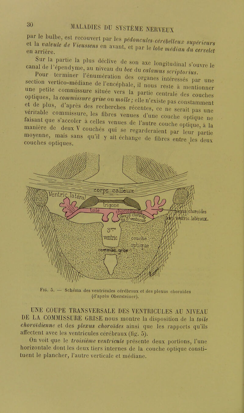 ^“pour ' WmiilierV sectior^Z’I^dian'Ii^t*^;^ ne petile commissure silude vers la panie ccnlrale des couches et JSs d°wrr 7“”’ conslamment ei de plus, d apies des recherches recenles, ce ne serait nas one vei'itable commissure, les fibres venues d’line coiiche opllque ne isanl que s accoler a cedes venues de I’aulre couclie oplique a la maniere de deux ^ conches qiii se regarderaienl par eu pm-i e moyenne, mais sans qu’il y ail echange de fibres entre les deux couches optiques. ' Fig. 5. — Schema des ventricules cerebraux et des plexus clioroides (d’apres Obersteincr). UNE COUPE TRANSVERSALE DES VENTRICULES AU NIVEAU DE LA COMMISSURE GRISE nous montre la disposition de la toile choi'oidienne et des plexus choro'ides ainsi que les rapports qu’ils affectent avec les ventricules cerebraux (fig. 5). On voit que le troisieme ventricule presente deux portions, I’une horizontale dont les deux tiers internes de la couche optique consti- tuent le plancher, I’autre verticale et mediane.