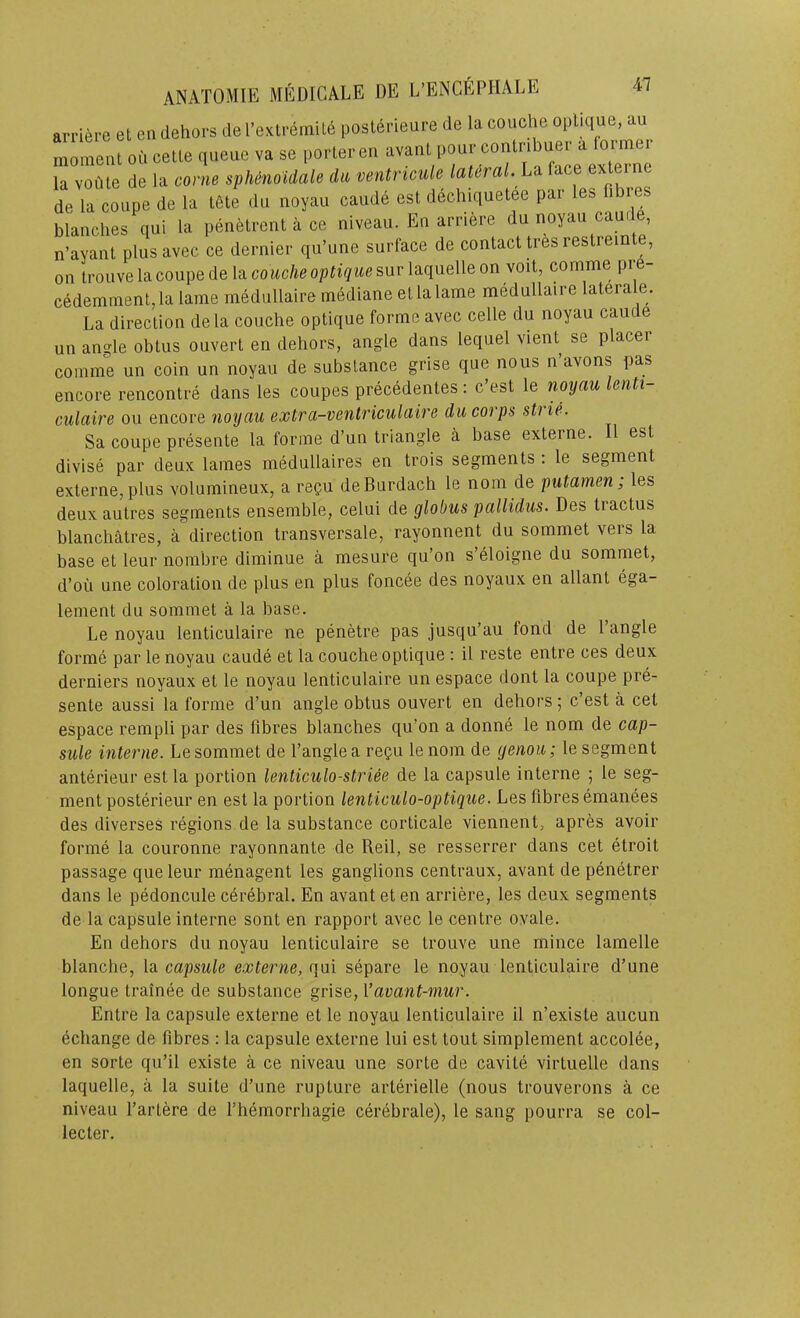 arriere et en dehors de I’exlremite posterieure de la couche optique, au moment od cette queue va se porter en avant pour contribuer a former la vofite de la come sphenoidale da ventricule lateral. La face externe de la coupe de la tfite du noyau caude est dechiquetee par les fibres blanches qui la penetrent a ce niveau. En arriere du noyau caude, n’ayant plusavec ce dernier qu’une surface de contact tres restremte, on trouve la coupe de la couche optique snv laquelle on voit, comme pre- c6demment, la lame medullaire mediane et la lame medullaire laterale. La direction dela couche optique forme avec celle du noyau caude un angle obtus ouvert en dehors, angle dans lequel vient se placer comme un coin un noyau de substance grise que nous n’avons pas encore rencontre dans les coupes precedentes: c’est le noyau lenti culaire ou encore noyau extra-ventriculaire ducoips sUie. Sa coupe presente la forme d’un triangle a base exteine. II est divise par deux lames medullaires en trois segments : le segment externe, plus volumineux, a regu deBurdach le nom de putamen, les deux autres segments ensemble, celui de globus pallidus. Des tractus blanchatres, a direction transversale, rayonnent du sommet vers la base et leur nombre diminue a mesure qu’on s’eloigne du sommet. d’ou une coloration de plus en plus foncee des noyaux en allant ega- lement du sommet a la base. Le noyau lenticulaire ne penetre pas jusqu’au fond de 1 angle forme par le noyau caude et la couche optique : il reste entre ces deux derniers noyaux et le noyau lenticulaire un espace dont la coupe pre- sente aussi la forme d’un angle obtus ouvert en dehors; c’est a cet espace rempli par des fibres blanches qu’on a donne le nom de cap- sule interne. Le sommet de I’angle a regii le nom de yenou; le segment anterieur est la portion lenticulo-strUe de la capsule interne ; le seg- ment posterieur en est la portion lenticulo-optique. Les fibres emanees des diverses regions de la substance corticale viennent, apres avoir forme la couronne rayonnante de Reil, se resserrer dans cet etroit passage que leur menagent les ganglions centraux, avant de penetrer dans le pedoncule cerebral. En avant et en arriere, les deux segments de la capsule interne sont en rapport avec le centre ovale. En dehors du noyau lenticulaire se trouve une mince lamelle blanche, la capsule externe, qui separe le noyau lenticulaire d’une longue trainee de substance grise, Vavant-mur. Entre la capsule externe et le noyau lenticulaire il n’existe aucun ^change de fibres : la capsule externe lui est tout simplement accolee, en sorte qu’il existe a ce niveau une sorte de cavite virtuelle dans laquelle, a la suite d’une rupture arterielle (nous trouverons a ce niveau I’artere de I’hemorrhagie cerebrate), le sang pourra se col- lecter.