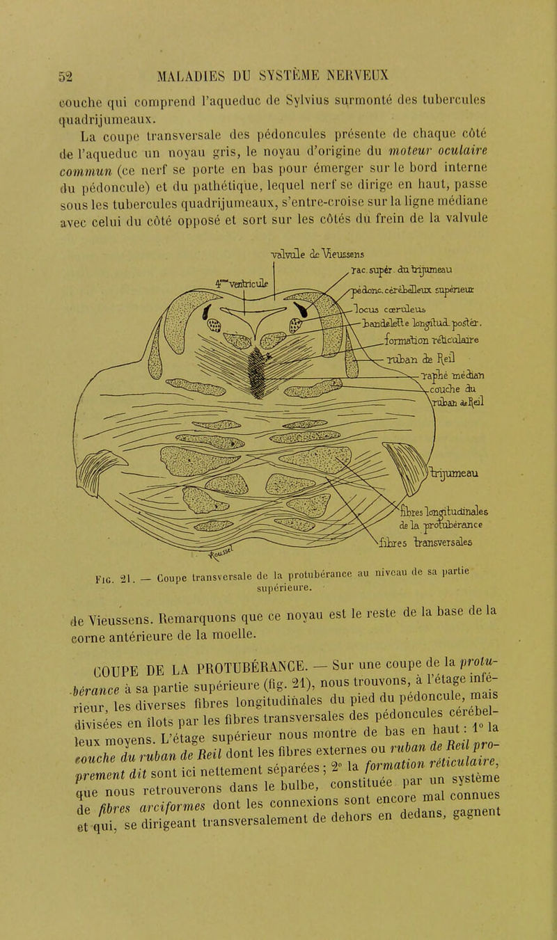 couche qui coniprend I’aqueduc de Sylvius surmonte des tubercules quadrijumeaux. La coupe Iransversale des pedoncules presenle de chaque c6te de I’aqueduc un noyau gris, le noyau d’origine du moteur oculaire commun (ce nerf se porte en bas pour emerger sur le bord interne du pedoncule) et du palhelique, lequel nerf se dirige en haul, passe sons les tubercules quadrijumeaux, s’entre-croise sur la ligne mediane avec celui du c6te oppose et sort sur les cdtes du frein de la valvule rac. sup4r - da bijumeau 'pedonc.cerei^eux snpOTeur -locus ccenaleus ^iectidfiTeTle i \^_^formation v^culflire |ji is li^eil M ineiaTi 3u - ' yuban a*^dl ^“veritricule iTXtneau // fiires longitudinale dfi la proraberance dikres iTemsveTsales Fig. 41. - Coupe Iransversale de la protuberance au niveau de sa parlie superieure. de Vieussens. Remarquons que ce noyau est le reste de la base de la come anterieure de la moelle. COUPE DE LA PROTUBERANCE. — Sur une coupe de la protu- ierLce a sa parlie superieure (Hg. 21), nous trouvons, a I’elage infe- rieur les diverses fibres longitudinales du pied du pedoncule, m divisles en ilots par les fibres transversales des ^ leuxmovens L’etage superieur nous montre de bas en haul. 1 fouche du ruban de Reil dont les fibres externes ou rnban de Reil pro- IZZTmZZ ici neltement separees; 2- ,a romuriou le nous relrouverons dans le bulbe, de fibres arciformes dont les connexions son en mgnent et qui, se dirigeant transversalement de dehois en ded , g g