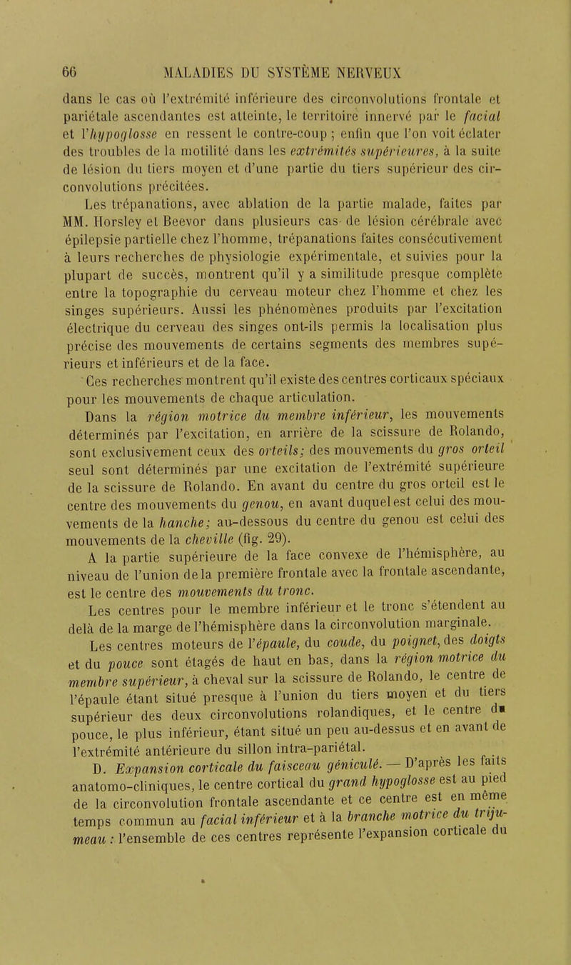 dans le cas oii I’exlreniile infci-ieure des circonvolulions fronlalc el parielale ascendanlcs est alleinle, le lerriloire innerve par le facial et Vhypoglosse en ressenl le conlre-coup; enfin que I’on voit eclaler des troubles de la niolilile dans les extrdmit^s aup&rieures, a la suite de lesion du tiers moyen et d’une parlie du tiers superieur des cir- convolutions [)recitees. Les trepanations, avec ablation de la i)artie malade, Caites par MM. Horsley el Beevor dans plusieurs cas de lesion cerebrale avec epilepsie parlielle chez I’bomme, trepanations faites conseculiveinent a leurs recberches de pbysiologie experimentale, et suivies pour la plupart de succes, montrent qu’il y a similitude presque complete entre la topographie du cerveau moteur chez riiomme et chez les singes superieurs. Aussi les phenomenes produits par I’excitation electrique du cerveau des singes ont-ils permis la localisation plus precise des mouvements de certains segments des membres supe- rieurs etinferieurs et de la face. Ces recberches montrent qu’il existe des centres corticaux speciaux pour les mouvements de chaque articulation. Dans la region motrice du membre inferieur, les mouvements determines par I’excitation, en arriere de la scissure de Rolando, ^ sont exclusivement ceux des orteils; des mouvements du gros orteil ' seul sont determines par une excitation de I’extremite superieure de la scissure de Rolando. En avant du centre du gros orteil est le centre des mouvements du genou, en avant duquelest celui des mou- vements de la handle; au-dessous du centre du genou est celui des mouvements de la cheville (fig. 29). A la partie superieure de la face convexe de riiemisphere, au niveau de I’union dela premiere frontale avec la frontale ascendante, est le centre des mouvements du tronc. Les centres pour le membre inferieur et le tronc s’etendent au dela de la marge de I’hemisphere dans la circonvolution marginale. Les centres moteurs de Vepaule, du coude, du poignet, des doigts et du pouce sont etages de haut en bas, dans la region m.otrice du membre superieur, a cheval sur la scissure de Rolando, le centre de I’epaule etant situe presque a I’union du tiers moyen et du tiers superieur des deux circonvolutions rolandiques, et le centre dm pouce, le plus inferieur, etant situe un pen au-dessus et en avant de I’extremite anterieure du sillon intra-parietal. ^ D. Expansion corticate du faisceau genicule. — Tf’apres les laits anatomo-cliniques, le centre cortical du grand hypoglosse est au piec de la circonvolution frontale ascendante et ce centre est ^ m me temps commun au facial inferieur et a la branche motiice u mean: I’ensemble de ces centres represente I’expansion corticate du