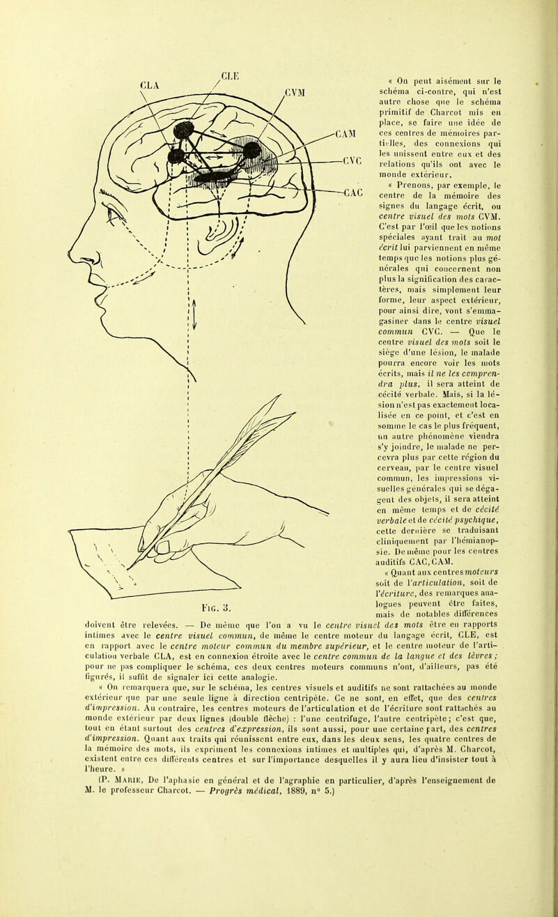 CAM —cvc GAG cr F ■ ' ' « On peut aisément sur le schéma ci-conlre, qui n'est autre chose que le schéma primitif de Cliarcot mis en place, se faire une idée de ces centres de mémoires par- tiilles, des connexions qui les unissent entre eux et des relations qu'ils ont avec le monde extérieur. « Prenons, par exemple, le centre de la mémoire des signes du langage écrit, ou centre visuel des mois CVM. C'est par l'œil que les notiims spéciales iiyant trait au mot écritlui parviennent en même temps que les notions plus gé- nérales qui concernent non plus la signification des carac- tères, niais simplement leur forme, leur aspect extérieur, pour ainsi dire, vont s'emma- gasiner dans le centre visuel commun CVC. — Que le centre visuel des mots soit le siège d'une lésion, le malade pourra encore voir les mots écrits, mais il ne les compren- dra plus, il sera atteint de cécité verbale. Mais, si la lé- sion n'est pas exactement loca- lisée en ce point, et c'est en somme le cas le plus fréquent, un autre phénomène viendra s'y joindre, le uialade ne per- cevra plus par cette région du cerveau, par le centre visuel commun, les impressions vi- suelles générales qui se déga- gent des objets, il sera atteint en même temps et de cécité verbale et de ccciié psychique, cette dernière se traduisant cliniquement par l'hémianop- sie. Do même pour les centres auditifs C.\C,CAM. « Quant aux centresmoiciics soit de l'articulation, soit de Yécrititre, des remarques ana- logues peuvent être faites, mais de notables dilférences doivent être relevées. — De même que l'on a vu le centre visuel des mots être en rapports intimes avec le centre visuel commun, do même le centre moteur du langage écrit, CLE, est en rapport avec le centre moteur commun du membre supérieur, et le centre moteur de l'arti- culation verbale CLA, est en connexion étroite avec le centre commun de la langue et des lèvres ; pour ne pas compliquer le schéma, ces deux centres moteurs communs n'om, d'ailleurs, pas été figurés, il suffit de signaler ici cette analogie. « On remarquera que, sur le schéjna, les centres visuels et auditifs ne sont rattachées au monde extérieur que par une seule ligne à direction centripète. Ce ne sont, en effet, que des centres d'impression. Au contraire, les centres moteurs de l'articulation et de l'écriture sont rattachés au monde extérieur par deux lignes (double tlèche) : l'une centrifuge, l'autre centripète; c'est que, tout en étant surtout des centres d'expression, ils sont aussi, pour une certaine fart, des centres d'impression. Quant aux traits qui réunissent entre eux, dans les deux sens, les quatre centres de la mémoire des mots, ils expriment les connexions intimes et multiples qui, d'après M. Charcot, existent entre ces dill'érents centres et sur l'importance desquelles il y aura lieu d'insister tout à l'heure. » (P. M.\niE, De l'aphasie en général et de l'agraphie en particulier, d'après l'enseignement de M. le professeur Charcot. — Progrès médical, 1889, n» 5.)