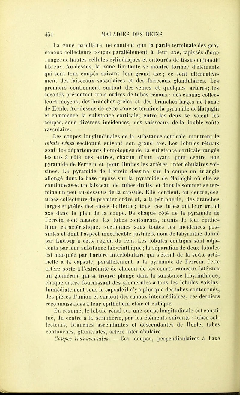 La zone papillaire ne contient que la partie terminale des gros canaux collecteurs coupés parallèlement à leur axe, tapissés d'une rangée de hautes cellules cylindriques et entourés de tissu conjonctif fibreux. Au-dessus, la zone limitante se montre formée d'éléments qui sont tous coupés suivant leur grand axe ; ce sont alternative- ment des faisceaux vasculaires et des faisceaux glandulaires. Les premiers contiennent surtout des veines et quelques artères;.les seconds présentent trois ordres de tubes rénaux : des canaux collec- teurs moyens, des branches grêles et des branches larges de l'anse de Henle. Au-dessus de cette zone se termine la pyramide deMalpighi et commence la substance corticale; entre les deux se voient les coupes, sous diverses incidences, des vaisseaux de la double voûte vas cul aire. Les coupes longitudinales de la substance corticale montrent le lobule rénal sectionné suivant son grand axe. Les lobules rénaux sont des départements homologues de la substance corticale rangés les uns à côté des autres, chacun d'eux ayant pour centre une pyramide de Ferrein et pour limites les artères interlobulaires voi- sines. La pyramide de Ferrein dessine sur la coupe un triangle allongé dont la base repose sur la pyramide de Malpighi où elle se continue avec un faisceau de tubes droits, et dont le sommet se ter- mine un peu au-dessous de la capsule. Elle contient, au centre,des tubes collecteurs de premier ordre et, à la périphérie, des branches larges et grêles des anses de Henle ; tous ces tubes ont leur grand axe dans le plan de la coupe. De chaque côté de la pyramide de Ferrein sont massés les tubes contournés, munis de leur épithé- lium caractéristique, sectionnés sous toutes les incidences pos- sibles et dont l'aspect inextricable justifie le nom de labyrinthe donné par Ludwig à cette région du rein. Les lobules contigus sont adja- cents parleur substance labyrinthique; la séparation de deux lobules est marquée par l'artère interlobulaire qui s'étend de la voûte arté- rielle à la capsule, parallèlement à la pyramide de Ferrein. Cette artère porte à l'extrémité de chacun de ses courts rameaux latéraux un glomérule qui se trouve plongé dans la substance labyrinthique, chaque artère fournissant des glomérules à tous les lobules voisins. Immédiatement sous la capsule il n'y a plus que des tubes contournés, des pièces d'union et surtout des canaux intermédiaires, ces derniers reconnaissables à leur épithélium clair et cubique. En résumé, le lobule rénal sur une coupe longitudinale est consti- tué, du centre à la périphérie, par les éléments suivants : tubes col- lecteurs, branches ascendantes et descendantes de Henle, tubes contournés, glomérules, artère interlobulaire. Coupes transversales. — Ces coupes, perpendiculaires à l'axe