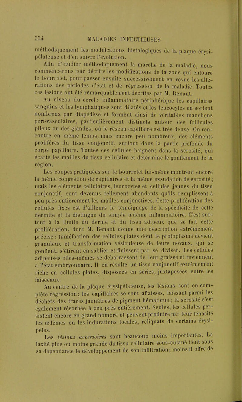 melhodiquement les modifications histologiques de la plaque erysi- pelateuse et d’en suivre Revolution. A fin d’etudier methodiquement la marche de la maladie, nous commencerons par decrire les modifications de la zone qui entoure le bourrelet, pour passer ensuite successivement en revue les alte- rations des pcriodes d’etat et de regression de la maladie. Toutes ces lesions ont ete remarquablement decrites par M. Renaut. An niveau du cercle inflammatoire peripherique les capillaires sanguins et les lymphatiques sont dilates et les leucocytes en sorlent nombreux par diapedese et forment ainsi de veritables manchons peri-vasculaires, particulierement distincts autour des follicules pileux ou des glandes, oil le reseau capillaire est tres dense. On ren- contre en meme temps, mais encore peu nombreux, des elements proliferes du tissu conjonctif, surtout dans la partie profonde du corps papillaire. Toutes ces cellules baignent dans la serosite, qui ecarte les mailles du tissu cellulaire et determine le gonflement de la region. Les coupes pratiquees sur le bourrelet lui-m6me montrent encore la m6me congestion de capillaires et la meme exsudation de serosite; mais les elements cellulaires, leucocytes et cellules jeunes du tissu conjonctif, sont devenus tellement abondants qu’ils remplissent a peu pres entierement les mailles conjonctives. Cette proliferation des cellules fixes est d’ailleurs le lemoignage de la specificite de cette dermite et la distingue du simple oedeme inflammatoire. C’est sur- tout a la limite du derrne et du tissu adipeux que se fait cette proliferation, dont M. Renaut donne une description extremement precise : tumefaction des cellules plates dont le protoplasma devient granuleux et transformation vesiculeuse de leurs noyaux, qui se gonfient, s’etirent en sablier et finissent par se diviser. Les cellules adipeuses elles-memes se debarrassent de leur graisse et reviennent a l’etat embryonnaire. II en resulle un tissu conjonctif extremement riche en cellules plates, disposees en series, juxtaposees entre les faisceaux. Au centre de la plaque erysipelateuse, les lesions sont en com- plete regression; les capillaires se sont affaisses, laissant parmi les dechets des traces jaunatres de pigment hematique ; la serosite s’est egalement resorbee a peu pres entierement. Seules, les cellules per- sistent encore en grand nombre et peuvcnt produire par leur tenacite les oedemes ou les indurations locales, reliquats de certains erysi- peles. Les lesions accessoires sont beaucoup moins importantes. La laxite plus ou moins grande du tissu cellulaire sous-cutane tient sou;> sa dependance le developpement de son infiltration; moins il offie de