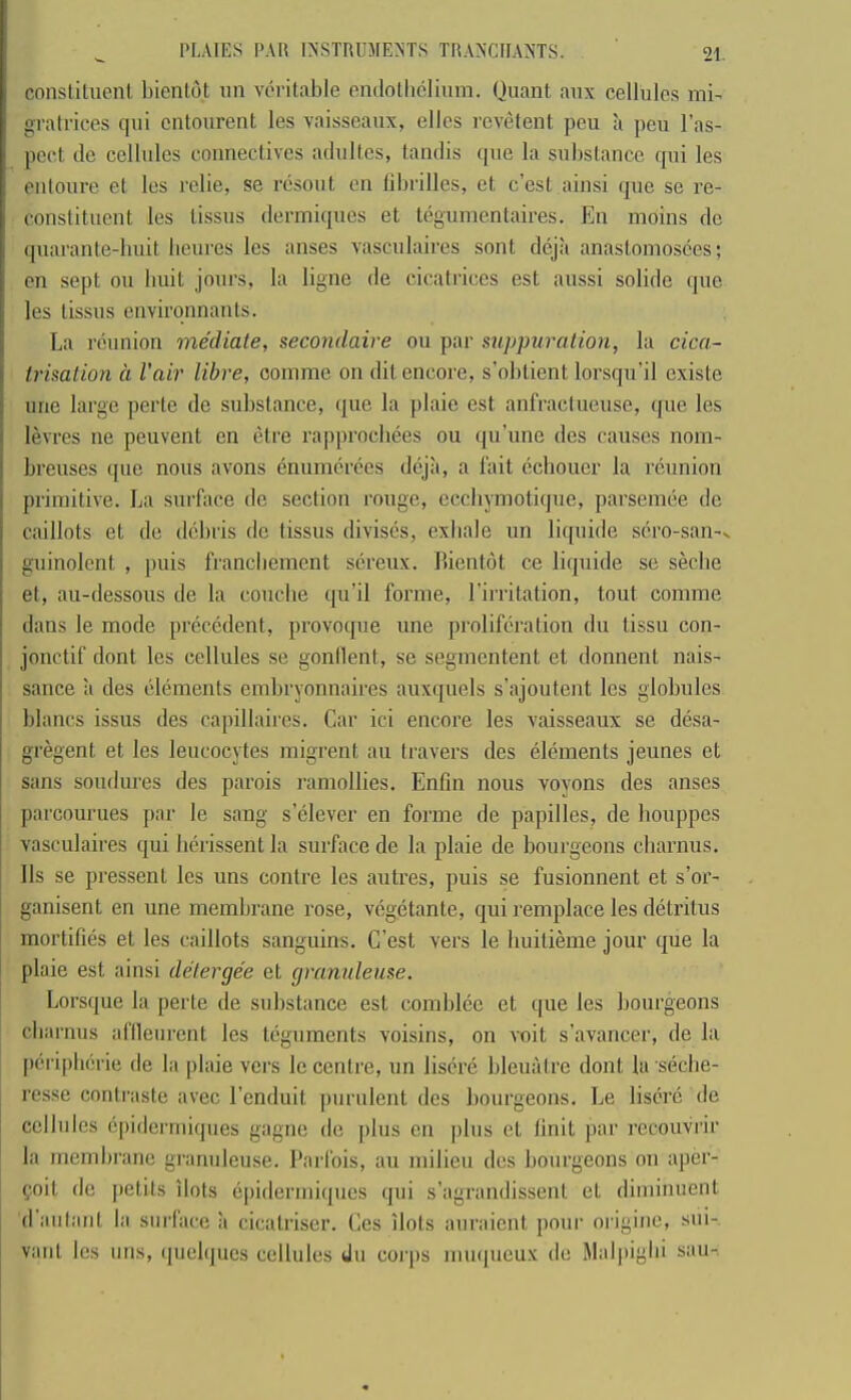 consliUient hienlot un veritable endollicliiim. Ouant aiix cellules mi- gratrices qiii enlonrent les vaisscaiix, ellcs rcvetent peix a pcu ras- ped. tie cellules coiineclivcs adultcs, taiulis (pie la substance qui les eiitoure et les relie, se rbsout ca librilles, ct c’est ainsi ipie se re- constituent les tissus dermiques et tegumentaires. En moins dc quarante-huit beures les anses vasculaircs sont diija anastomosties; en sept on huit jours, la ligne de cicati'iccs est aussi solide que les tissus envirqnnants. [ La reunion mediate, secondaire on par suppuration, la cica- j trisation a I'air libre, conime on dit encore, s’obtient lorsqu’il existe j line large perte de substance, que la plaie est anfractueuse, que les I levres ne peuvent en etre rapprochees on qu’ime ties causes nom- j breuses que nous avons enumcriies deja, a fait (ichoucr la reunion primitive. La surface de section rouge, ecchymotique, parsenuie de caillots et de debris dc tissus divistis, exiiale un liquide scro-san-v guinolent , puis franebement sereux. lUentot ce litjuide se seche et, au-dessous de la couche ipi’il forme, I’ii'ritation, tout comme dans le mode pr(?c(ident, provoque une proliferation du tissu con- jonctif dont les cellules se gonllent, se segmentent et donnent nais- sance a ties elements embryonnaires auxquels s’ajoutent les globules blancs issus des capillaircs. Car ici encore les vaisseaux se dtjsa- gregent et les leucocytes migrent au travers des eliiments jeunes et sans soudures des parois ramollies. Enfin nous voyons des anses parcourues par le sang selcver en forme de papilles, de bouppes vasculaircs qui lierissent la surface de la plaie de bourgeons cliai’iius. 11s se pressent les uns centre les autres, puis se fusionnent et s’or- ganisent en une membrane rose, v(ig(3tante, qui remplace les dtitrilus mortifies et les caillots sanguins. C’est vers le buitieme jour que la plaie est ainsi detergee et granuleuse. Lorsque la perte de substance est combl(ic ct que les liourgeons cliarnus aflleurcnt les teguments voisins, on voit s’avancer, de la |)eripb6rie de la plaie vers le centre, un lis(ir(i bleuatrc dont la s(icbe- resse contraste avec I’cnduit purulent dcs bourgeons. Le liscrc de cellules epiderrniques gagne de jilus en plus et Unit par recouvrir la membrane granuleuse. Parfois, au milieu dcs bourgeons on aper- qoit de jietits ilots e|)idermi(pies qui s’agrandissent et diminuent (I aiilant la snidacc a cicatiiscr. Ces ilots auraient poui‘ oi’igine, siii- vanl les uns, quelques cellules du coiqis imnpieux de Malpigbi sau-.