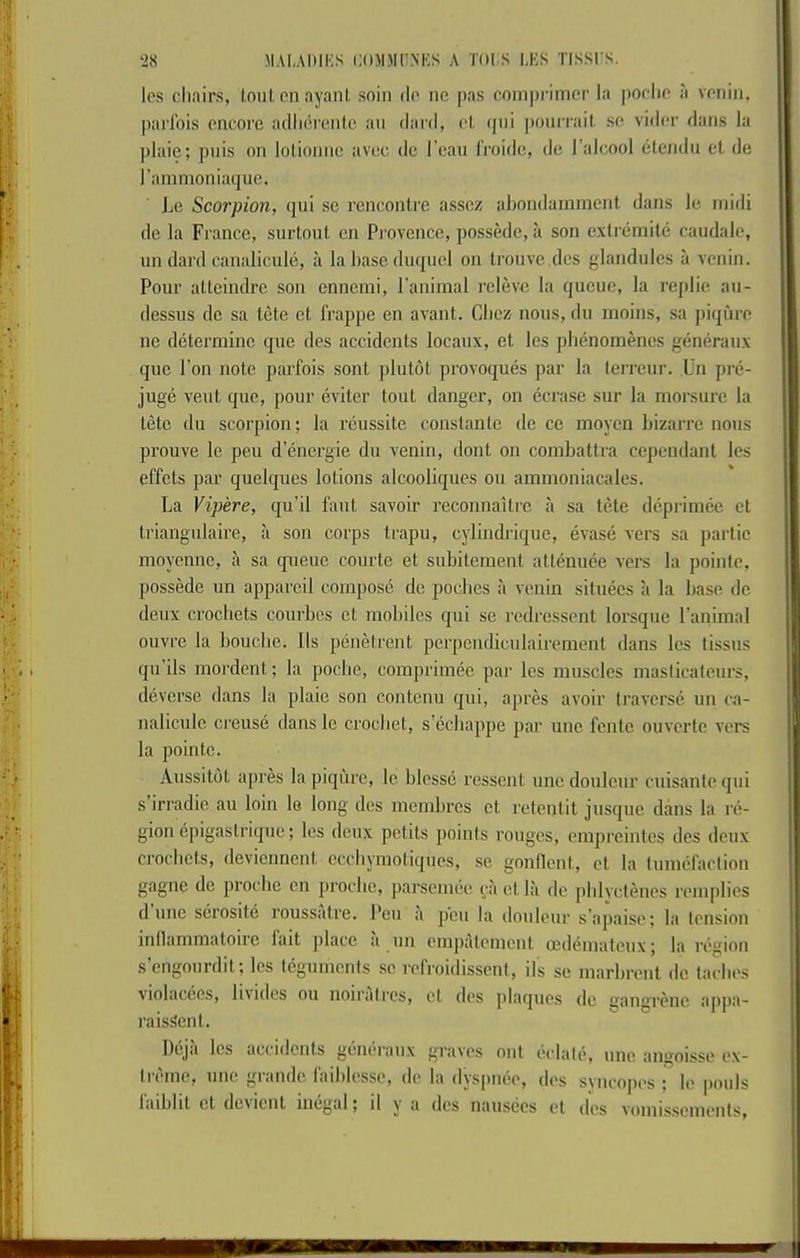 Ics clinirs, loiil. en ayanl. soin do nc pas oomprimer la poolio a vonin, parlbis oncorc adlibreiiks an dard, ot (jiii |tonrrail. sc viilor duns la plaie; puis on loliomic uvec do I’cau Iroide, de I'alcool elcndii ct de rammoniaque. Lc Scorpion, qui se rencontre assoz abondamment dans le midi de la France, siirtonl en Pi ovence, possede, a son exlremite candale, un dard canalicule, ii la base duqncl on trouve dcs glandules a venin. Pour alleindrc son ennemi, I’animal I'cleve la queue, la replio au- dessus de sa lete et frappe en avant. Cbez nous, du nioins, sa piqure ne determine que des accidents locaux, et les phenomenes generaux que Ton note parfois sont plutbt provoques par la lerreur. Un pre- juge vent que, pour eviter tout danger, on ecrase sur la morsure la tete du scorpion; la reussite constanle de ce moyen bizarre nous prouve le pen denergie du venin, dont on combattra cependant les effets par quelques lotions alcooliqucs on ammoniacales. La Vipere, qu'il faut savoir reconnailre a sa tete depi'imce ct triangnlaire, a son corps trapu, cylindrique, evase vers sa parlic moyennc, a sa queue coiirte et subitement attenuee vers la poinic, possede un apparcil compose de pochcs a venin situecs a la base de deux crochets courbos ct mobiles qui se redresscnt lorsque I'animal ouvre la bouclie. Us penetrent perpcndiculairement dans les tissus qu’ils mordent; la poche, comprimee par les muscles maslicatcurs, deverse dans la plaie son contenu qui, apres avoir traverse un ca- nalicule creuse dans le crochet, s’echappe par unc fcntc ouvcrte vers la pointc. Aussitbt apres la piqure, le blesse rcssent unc doulcur ciiisante (jui s irradie au loin le long des membrcs ct retentit jusque dans la re- gion epigastrique; les deux pctits points rouges, empreintes des deux crochets, deviennent ccebyinotiques, sc gonllent, ct la tumefaction gagne de proebe en proclie, parsemee cii et la de pldvctenes remplies dune scrosite roussatre. Pen a jicii la doulcur s'apaisc; la tension inllammatoire lait place a un cinjiatcinent cedemateux; la rcijion s’engourdit; les teguments se refroidissent, ils se marbrent de laches violacecs, livides ou noiiatrcs, ct des jdaques dc gangi'enc appa- raisSent. Deja les accidents generaux graves out bclale, une angoisse ex- li'iune, unc giande laddcsse, de la dys[uu*e, di's syncopes ; le pools laiblit ct devient inegal; il y a des nausecs et des vomissenienis,