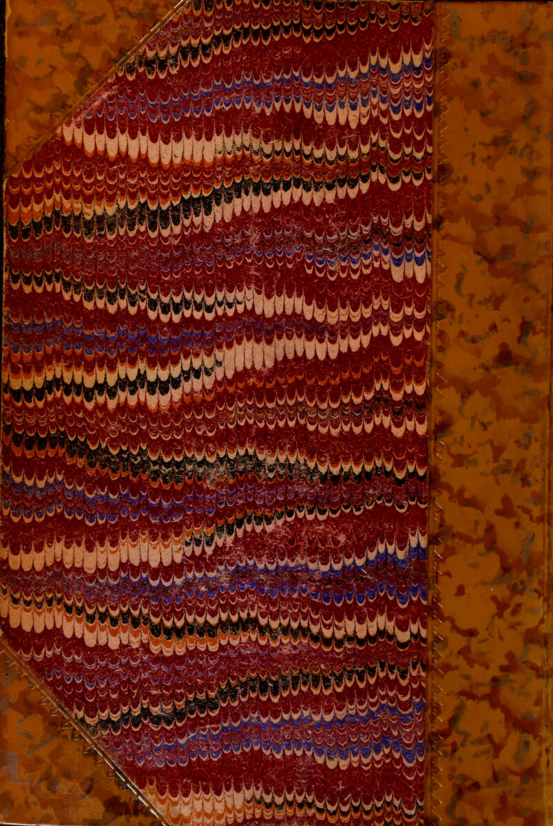 jjj. .w..vw-wVvwW^V» ; v W'Vy- /wWH*V *y«»W