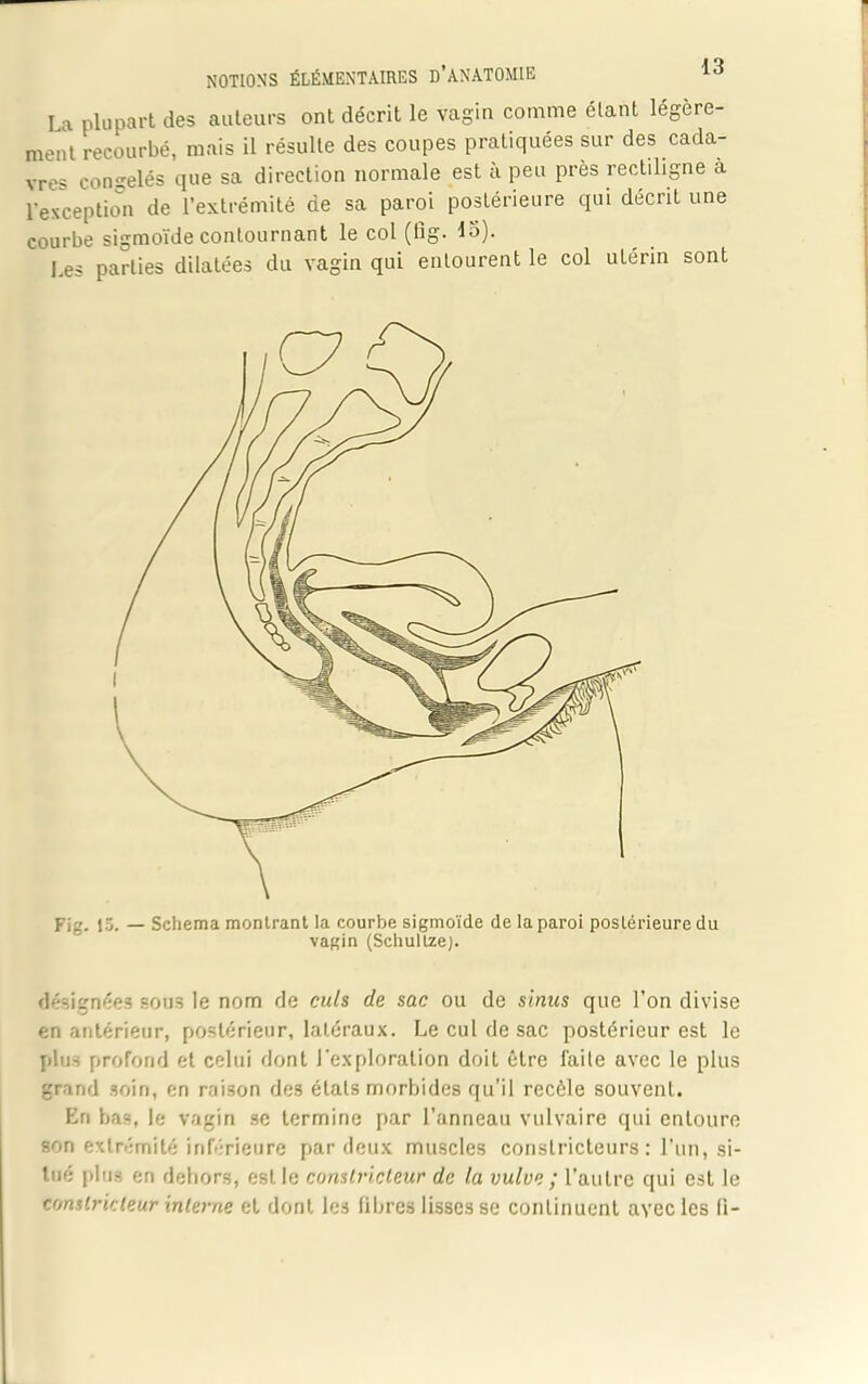 La plupart des auteurs ont décrit le vagin comme étant légère- ment recourbé, mais il résulte des coupes pratiquées sur des cada- vres congelés que sa direction normale est à peu près rectiligne a l'exception de l’extrémité de sa paroi postérieure qui décrit une courbe sigmoïde contournant le col (fig. là). Les parties dilatées du vagin qui entourent le col utérin sont Fig. 15. — Schéma montrant la courbe sigmoïde de la paroi postérieure du vagin (Schullze). désignées sous le nom de culs de sac ou de sinus que l’on divise en antérieur, postérieur, latéraux. Le cul de sac postérieur est le plus profond et celui dont l'exploration doit être laite avec le plus grand soin, en raison des états morbides qu’il recèle souvent. En bas, le vagin se termine par l’anneau vulvaire qui entoure son extrémité inférieure par deux muscles constricteurs : l’un, si- tué plus en dehors, est le constricteur de la vulve ; l’autre qui est le constricteur interne et dont les libres lisses se continuent avec les li-