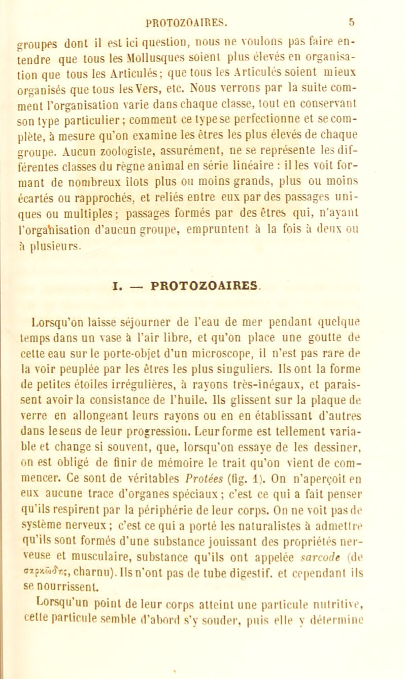 croupes dont il est ici question, nous ne voulons pas faire en- tendre que tous les Mollusques soient plus élevés en organisa- tion que tous les Articulés; que tous les Articulés soient mieux organisés que tous les Vers, etc. Nous verrons par la suite com- ment l’organisation varie dans chaque classe, tout en conservant son type particulier; comment ce type se perfectionne et se com- plète, à mesure qu’on examine les êtres les plus élevés de chaque groupe. Aucun zoologiste, assurément, ne se représente les dif- férentes classes du règne animal en série linéaire : il les voit for- mant de nombreux îlots plus ou moins grands, plus ou moins écartés ou rapprochés, et reliés entre eux par des passages uni- ques ou multiples; passages formés par des êtres qui, n'ayant l’organisation d’aucun groupe, empruntent à la fois à deux ou ;’i plusieurs. I. — PROTOZOAIRES Lorsqu’on laisse séjourner de l’eau de mer pendant quelque temps dans un vase à l’air libre, et qu’on place une goutte de cette eau sur le porte-objet d’un microscope, il n’est pas rare de la voir peuplée par les êtres les plus singuliers. Ils ont la forme de petites étoiles irrégulières, il rayons très-inégaux, et parais- sent avoir la consistance de l’huile. Ils glissent sur la plaque de verre en allongeant leurs rayons ou en en établissant d’autres dans leseus de leur progression. Leur forme est tellement varia- ble et change si souvent, que, lorsqu’on essaye de les dessiner, on est obligé de finir de mémoire le trait qu’on vient de com- mencer. Ce sont de véritables Protées (tig. 1). On n’aperçoit en eux aucune trace d’organes spéciaux ; c’est ce qui a fait penser qu’ils respirent par la périphérie de leur corps. On ne voit pas de système nerveux ; c’est ce qui a porté les naturalistes à admettre qu’ils sont formés d’une substance jouissant des propriétés ner- veuse et musculaire, substance qu’ils ont appelée .“arcade (de «pxôxfr.;, charnu). Ils n’ont pas de tube digestif, et cependant ils se nourrissent. Lorsqu’un point de leur corps atteint une particule nutritive, cette particule semble d’abord s’y souder, puis elle y détermine
