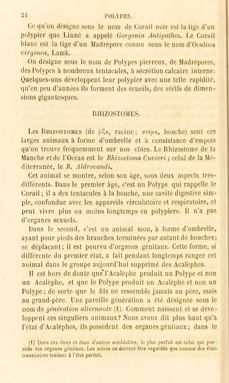 O, qu’on désigne sous le nom de Corail noir est la tige, d’un polypier que Linné a appelé Gorgonia Antipalhes. Le Corail blanc est la lige d’un Madrépore connu sous le nom d'Oculina viryinea, Lamk. On désigne sous le nom de Polypes pierreux, de Madrépores, des Polypes à nombreux tentacules, à sécrétion calcaire interne. Quelques-uns développent leur polypier avec une telle rapidité, qu’en peu d’années ils forment des écueils, des récifs de dimen- sions gigantesques. RH1ZOSTOMES. Les Rhizo'stomës (de pi'Ca, racine; orou.a, bouche) sont ces larges animaux à forme d’ombrelle et à consistance d’empois qu’on trouve fréquemment sur nos côtes. Le Rhizostome de la Manche etde l’Océan est le Rhizostoma Cuvieri ; celui de la Mé- diterranée, le R. Aldrovandi. Cet animal se montre, selon son âge, sous deux aspects très- différents. Dans le premier âge, c’est un Polype qui rappelle le Corail ; il a des tentacules à la bouche, une cavité digestive sim- ple, confondue avec les appareils circulatoire et respiratoire, et peut vivre plus ou moins longtemps en polypiers. 11 n’a pas d’organes sexuels. Dans le second, c’est un animal mou, à forme d’ombrelle, ayant pour pieds des branches terminées par autant de bouches; se déplaçant; il est pourvu d’organes génitaux. Celle forme, si différente du premier état, a fait pendant longtemps ranger cet animal dans le groupe aujourd’hui supprimé des Acalèphes. 11 est hors de doute qucM’Acalèphe produit un Polype et non un Acalèphe, et que le Polype produit un Aealèplie et non un Polype; de sorte que le (ils ne ressemble jamais au père, mais au grand-père. Une pareille génération a été désignée sous le nom de génération alternante (1). Comment naissent et se déve- loppent ces singuliers animaux? Nous avons dit plus haut qu’à l’état d’Acalèphes, ils possèdent des organes génitaux; dans le (t) Dans cos cires et dans d'autres seniblatdes, le plus parfait est celui qui pos- sède des organes génitaux. Les autres ne doivent être regardés que connue des états transitoires tendant à l'étal parfait.