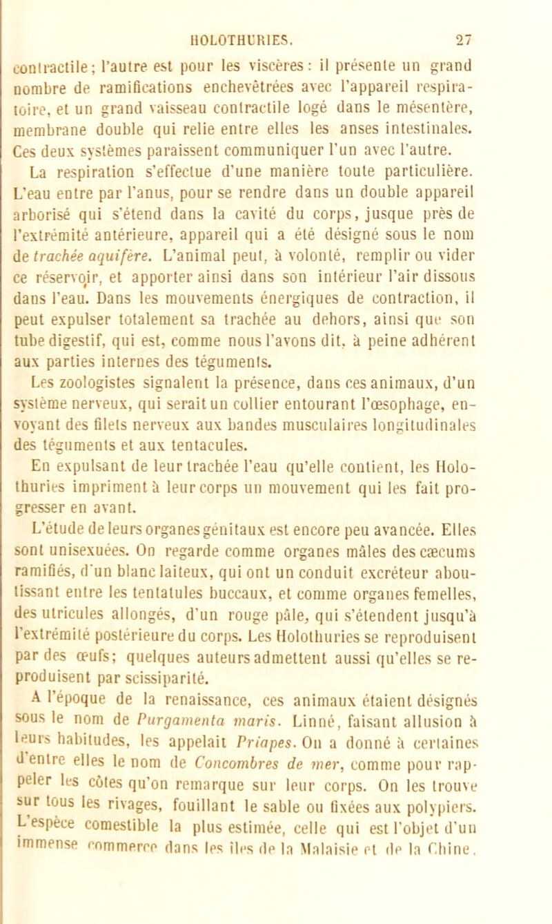 contractile; l’autre est pour les viscères: il présente un grand nombre de ramifications enchevêtrées avec l’appareil respira- toire, et un grand vaisseau contractile logé dans le mésentère, membrane double qui relie entre elles les anses intestinales. Ces deux systèmes paraissent communiquer l'un avec l’autre. La respiration s’effectue d’une manière toute particulière. L’eau entre par l’anus, pour se rendre dans un double appareil arborisé qui s’étend dans la cavité du corps, jusque près de l’extrémité antérieure, appareil qui a été désigné sous le nom de trachée aquifère. L’animal peut, à volonté, remplir ou vider ce réservoir, et apporter ainsi dans son intérieur l’air dissous dans l’eau. Dans les mouvements énergiques de contraction, il peut expulser totalement sa trachée au dehors, ainsi que son tube digestif, qui est, comme nous l’avons dit, à peine adhérent aux parties internes des téguments. Les zoologistes signalent la présence, dans ces animaux, d’un système nerveux, qui serait un collier entourant l’œsophage, en- voyant des filets nerveux aux bandes musculaires longitudinales des téguments et aux tentacules. En expulsant de leur trachée l’eau qu’elle coutient, les Holo- thuries impriment à leurcorps un mouvement qui les fait pro- gresser en avant. L’étude de leurs organes génitaux est encore peu avancée. Elles sont unisexuées. On regarde comme organes mâles des cæcums ramifiés, d'un blanc laiteux, qui ont un conduit excréteur abou- tissant entre les tenlatules buccaux, et comme organes femelles, des utricules allongés, d’un rouge pâle, qui s’étendent jusqu’à l’extrémité postérieure du corps. Les Holothuries se reproduisent par des œufs; quelques auteurs admettent aussi qu’elles se re- produisent par scissiparité. A l’époque de la renaissance, ces animaux étaient désignés sous le nom de Purgamenta maris. Linné, faisant allusion à leurs habitudes, les appelait Priapes. On a donné à certaines d entre elles le nom de Concombres de mer, comme pour rap- peler les côtes qu’on remarque sur leur corps. On les trouve sur tous les rivages, fouillant le sable ou fixées aux polypiers. L espèce comestible la plus estimée, celle qui est l’objet d’un immense rommerco dans les îles de la Malaisie et de la Chine.