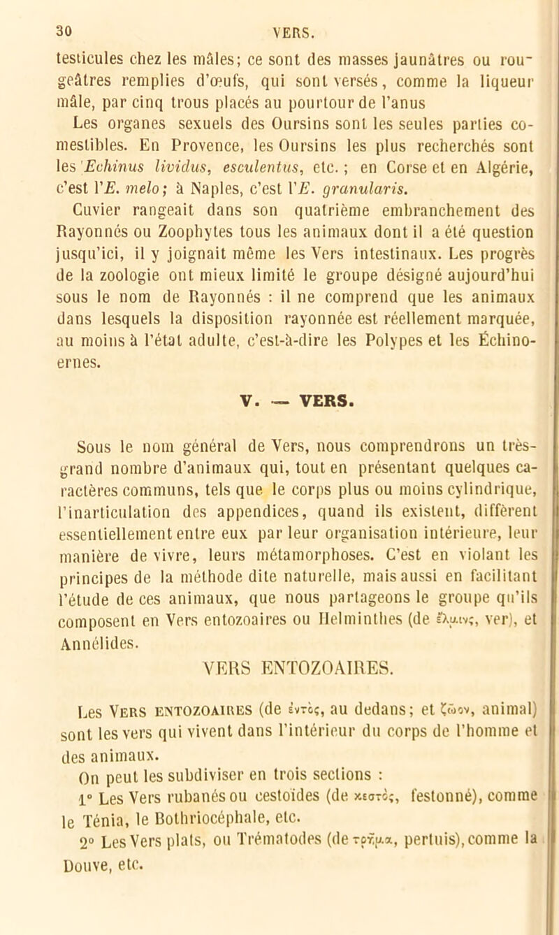 testicules chez les mâles; ce sont des masses jaunâtres ou rou- geâtres remplies d’œufs, qui sont versés, comme la liqueur mâle, par cinq trous placés au pourtour de l’anus Les organes sexuels des Oursins sont les seules parties co- mestibles. En Provence, les Oursins les plus recherchés sont les Echinus lividus, esculentus, etc. ; en Corse et en Algérie, c’est l’l?. melo; à Naples, c’est VE. granularis. Cuvier rangeait dans son quatrième embranchement des Rayonnés ou Zoophytes tous les animaux dont il a été question jusqu’ici, il y joignait même les Vers intestinaux. Les progrès de la zoologie ont mieux limité le groupe désigné aujourd’hui sous le nom de Rayonnés : il ne comprend que les animaux dans lesquels la disposition rayonnée est réellement marquée, au moins à l’étal adulte, c’est-à-dire les Polypes et les Échino- ernes. V. — VERS. Sous le nom général de Vers, nous comprendrons un très- grand nombre d’animaux qui, tout en présentant quelques ca- ractères communs, tels que. le corps plus ou moins cylindrique, l’inarticulation des appendices, quand ils exislent, diffèrent essentiellement entre eux parleur organisation intérieure, leur manière de vivre, leurs métamorphoses. C’est en violant les principes de la méthode dite naturelle, mais aussi en facilitant l’étude de ces animaux, que nous partageons le groupe qu’ils composent en Vers entozoaires ou Helminthes (de IXimv;, ver), et Annélides. VERS ENTOZOAIRES. Les Vers entozoaires (de èvrbç, au dedans; et Çûov, animal) sont les vers qui vivent dans l’intérieur du corps de l’homme et des animaux. On peut les subdiviser en trois sections : 1° Les Vers rubanés ou eestoïdes (de xso-i;, festonné), comme le Ténia, le Bothriocéphale, etc. 2° Les Vers plats, ou Trématodes (dercrua, pertuis), comme la Douve, etc.