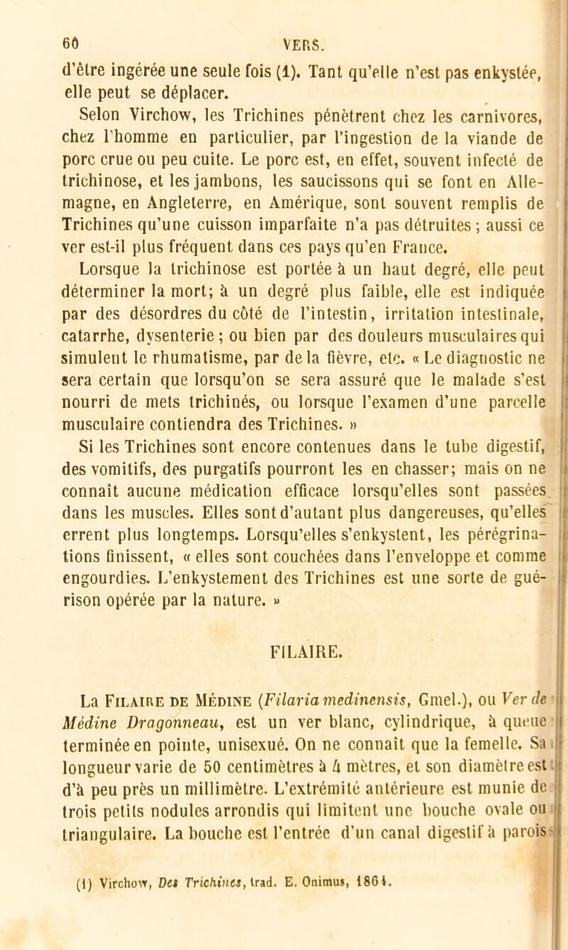 d’être ingérée une seule fois (1). Tant qu’elle n’est pas enkystée, elle peut se déplacer. Selon Virchow, les Trichines pénètrent chez les carnivores, chez l'homme en particulier, par l’ingestion de la viande de porc crue ou peu cuite. Le porc est, en effet, souvent infecté de trichinose, et les jambons, les saucissons qui se font en Alle- magne, en Angleterre, en Amérique, sont souvent remplis de Trichines qu’une cuisson imparfaite n’a pas détruites ; aussi ce ver est-il plus fréquent dans ces pays qu’en France. Lorsque la trichinose est portée à un haut degré, elle peut déterminer la mort; à un degré plus faible, elle est indiquée par des désordres du côté de l’intestin, irritation intestinale, catarrhe, dysenterie ; ou bien par des douleurs musculaires qui simulent le rhumatisme, par delà fièvre, etc. « Le diagnostic ne sera certain que lorsqu’on se sera assuré que le malade s’est nourri de mets trichinés, ou lorsque l’examen d’une parcelle musculaire contiendra des Trichines. » Si les Trichines sont encore contenues dans le tube digestif, des vomitifs, des purgatifs pourront les en chasser; mais on ne connaît aucune médication efficace lorsqu’elles sont passées dans les muscles. Elles sont d’autant plus dangereuses, qu’elles errent plus longtemps. Lorsqu’elles s’enkystent, les pérégrina- tions finissent, « elles sont couchées dans l’enveloppe et comme engourdies. L’enkystement des Trichines est une sorte de gué- rison opérée par la nature. » F1LA1RE. La Filaire de Médine (Filaria medinensis, Gmel.), ou Ver de Médine Dragonneau, est un ver blanc, cylindrique, à queue terminée en pointe, unisexué. On ne connaît que la femelle. Sa I longueur varie de 50 centimètres à h mètres, et son diamèlreest d’à peu près un millimètre. L’extrémité antérieure est munie de trois petits nodules arrondis qui limitent une bouche ovale ou triangulaire. La bouche est l’entrée d’un canal digestif à parois? (I) Virchovr, Del Trichines, Uid. E. Onimus, 18Gi.