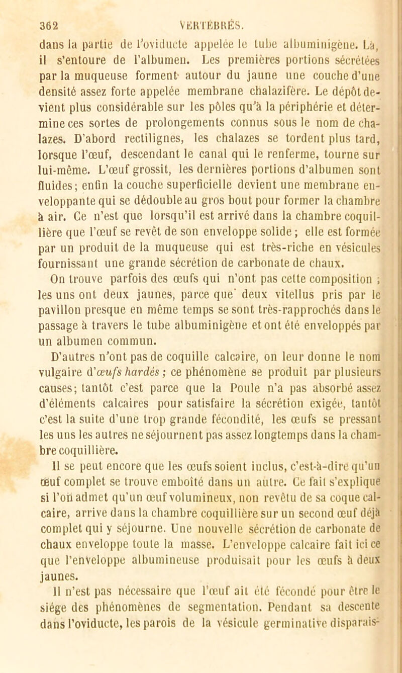 dans la partie de l’oviducte appelée le tube albuininigène. La, il s’entoure de l’albumen. Les premières portions sécrétées par la muqueuse forment' autour du jaune une couche d’une densité assez forte appelée membrane chalazifère. Le dépôt de- vient plus considérable sur les pôles qu’à la périphérie et déter- mine ces sortes de prolongements connus sous le nom de cha- lazes. D’abord rectilignes, les chalazes se tordent plus lard, lorsque l’œuf, descendant le canal qui le renferme, tourne sur lui-même. L’œuf grossit, les dernières portions d’albumen sont fluides; enfin la couche superficielle devient une membrane en- veloppante qui se dédoubleau gros bout pour former la chambre à air. Ce n’est que lorsqu’il est arrivé dans la chambre coquil- lière que l’œuf se revêt de son enveloppe solide ; elle est formée par un produit de la muqueuse qui est très-riche en vésicules fournissant une grande sécrétion de carbonate de chaux. On trouve parfois des œufs qui n’ont, pas cette composition , les uns ont deux jaunes, parce que' deux vitellus pris par le pavillon presque en même temps se sont très-rapprochés dans le passage à travers le tube albuminigène et ont été enveloppés par un albumen commun. D’autres n’ont pas de coquille calcaire, on leur donne le nom vulgaire ù'œufs hardés ; ce phénomène se produit par plusieurs causes; tantôt c’est parce que la Poule n’a pas absorbé assez d’éléments calcaires pour satisfaire la sécrétion exigée, tantôt c’est la suite d’une trop grande fécondité, les œufs se pressant les uns les autres ne séjournent pas assez longtemps dans la cham- bre coquillière. 11 se peut encore que les œufs soient inclus, c’est-à-dire qu’un œuf complet se trouve emboîté dans un autre. Ce fait s’explique si l’oti admet qu’un œuf volumineux, non revêtu de sa coque cal- caire, arrive dans la chambre coquillière sur un second œuf déjà complet qui y séjourne. Une nouvelle sécrétion de carbonate de chaux enveloppe toute la masse. L’enveloppe calcaire fait ici ce que l’enveloppe albumineuse produisait pour les œufs à deux jaunes. 11 n’est pas nécessaire que l’œuf ail été fécondé pour être le siège des phénomènes de segmentation. Pendant sa descente dans l’oviducte, les parois de la vésicule germinative disporais-