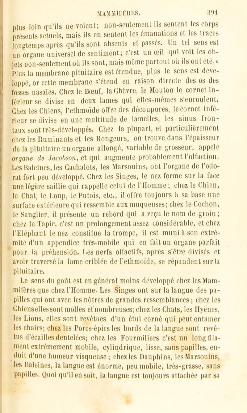 plus loin qu’ils ne voient; non-seulement ils sentent les corps présents actuels, mais ils en sentent les émanations et les traces longtemps après qu’ils sont absents et passés. T n tel sens est un organe universel de sentiment; c’est un œil qui voit les ob- jets non-seulement où ils sont, mais même partout où ils ont été.» Plus la membrane pituitaire est étendue, plus le sens est déve- loppé, or cette membrane s’étend en raison directe des os des fosses'nasales. Chez le Bœuf, la Chèvre, le Mouton le cornet in- férieur se divise en deux lames qui elles-mêmes s’enroulent. Chez les Chiens, l’ethmoïde offre des découpures, le cornet infé- rieur se divise en une multitude de lamelles, les sinus fron- taux sont très-développés. Chez la plupart, et particulièrement chez les Ruminants et les Rongeurs, on trouve dans l’épaisseur Ide la pituitaire un organe allongé, variable de grosseur, appelé organe de Jacobson, et qui augmente probablement l’olfaction. Les Baleines, les Cachalots, les Marsouins, ont l’organe de l’odo- rat fort peu développé. Chez les Singes, le nez forme sur la face une légère saillie qui rappelle celui de l’Homme; chez le Chien, le Chat, le Loup, le Putois, etc., il offre toujours ù sa base une surface extérieure qui ressemble aux muqueuses; chez le Cochon, le Sanglier, il présente un rebord qui a reçu le nom de groin ; chez le Tapir, c’est un prolongement assez considérable, et chez l’Eléphant le nez constitue la trompe, il est muni à son extré- mité d’un appendice très-mobile qui en fait un organe parfait pour la préhension. Les nerfs olfactifs, après s’être divisés et avoir traversé la lame criblée de l’ethmoïde, se répandent sur la pituitaire. Le sens du goût est en général moins développé chez les Mam- mifères que chez l’Homme. Les Singes ont sur la langue des pa- pilles qui ont avec les nôtres de grandes ressemblances ; chez les Chiensellessont molles et nombreuses; chez les Chais, les Hyènes, les Lions, elles sont revêtues d’un étui corné qui peut entamer les chairs; chez les Porcs-épics les bords de la langue sont revê- tus d’écailles dentelées; chez les Fourmiliers c’est un long fila- ment extrêmement mobile, cylindrique, lisse, sans papilles, en- duit d’une humeur visqueuse; chez les Dauphins, les Marsouins, les Baleines, la langue est énorme, peu mobile, très-grasse, sans papilles. Quoi qu’il en soit, la langue est toujours attachée par sa