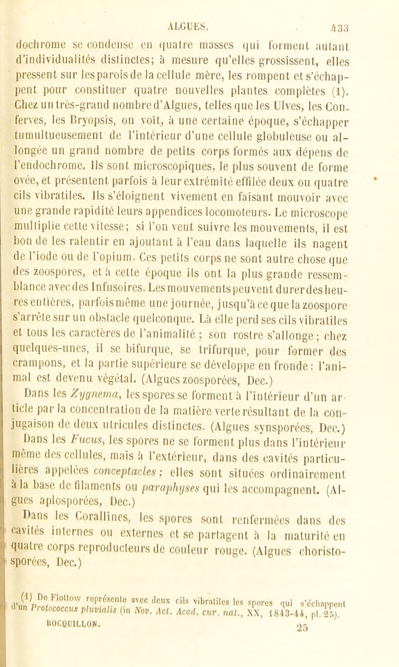 /J 33 dochrome se condense en quatre masses qui forment autant d’individualités distinctes; à mesure qu’elles grossissent, elles pressent sur les parois de la cellule mère, les rompent et s’échap- pent pour constituer quatre nouvelles plantes complètes (1). Chez un très-grand nombre d’Algues, telles que les Ulves, les Con. ferves, les Bryopsis, on voit, à une certaine époque, s’échapper tumultueusement de l’intérieur d’une cellule globuleuse ou al- longée un grand nombre de petits corps formés aux dépens de l’endochrome. Ils sont microscopiques, le plus souvent de forme ovée, et présentent parfois à leur extrémité effilée deux ou quatre cils vibratiles. Ils s’éloignent vivement en faisant mouvoir avec une grande rapidité leurs appendices locomoteurs. Le microscope multiplie cette vitesse; si l’on veut suivre les mouvements, il est bon de les ralentir en ajoutant à l’eau dans laquelle ils nagent de l'iode ou de l’opium. Ces petits corps ne sont autre chose que des zoospores, et à cette époque ils ont la plus grande ressem- blance aveedes Infusoires. Les mouvements peuvent durerdesheu- res entières, parfoismême une journée, jusqu’à ce que la zoospore s’arrête sur un obstacle quelconque. Là elle perd ses cils vibratiles et tous les caractères de l’animalité ; son rostre s’allonge; chez quelques-unes, il se bifurque, se Irifurque, pour former des crampons, et la partie supérieure se développe en fronde: l’ani- mal est devenu végétal. (Algues zoosporées, Dec.) Dans les Zygnema, les spores se forment à l’intérieur d’un ar- ticle par la concentration de la matière verte résultant de la con- jugaison de deux ulricules distinctes. (Algues synsporées, Dec.) Dans les Fucus, les spores ne se forment plus dans l’intérieur même des cellules, mais a l’extérieur, dans des cavités particu- lières appelées conceptacles ; elles sont situées ordinairement à la hase de filaments ou paraphyses qui les accompagnent. (Al- gues aplosporées, Dec.) Dans les Corallines, les spores sont renfermées dans des cavités internes ou externes et se partagent à la maturité en qualie corps reproducteurs de couleur rouge. (Algues choristo- sporées, Dec.) (1) Do Flotlow représente avec deux cils vibratiles les d un Frotococcus pluvialis (in Nov. Ad. Acad. cur. nal., BOCQUILLON. spores qui s'échappent XX, 1843-44', pi. 25). 25