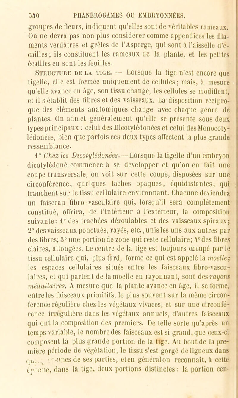 groupes de (leurs, indiquent qu’elles sont de véritables rameaux. On ne devra pas non plus considérer comme appendices les tila- ments verdâtres et grêles de l’Asperge, qui sont à l’aisselle d’é- cailles; ils constituent les rameaux de la plante, et les petites écailles en sont les feuilles. Structure de la tige. — Lorsque la lige n’est encore que tigelle, elle est formée uniquement de cellules; mais, â mesure qu’elle avance en âge, son tissu change, les cellules se modifient, et il s’établit des fibres et des vaisseaux. La disposition récipro- que des éléments anatomiques change avec chaque genre de plantes. On admet généralement qu’elle se présente sous deux types principaux : celui des Dicotylédonées et celui desMonocoty- lédonées, bien que parfois ces deux types affectent la plus grande ressemblance. 1° Chez les Dicotylédonées. — Lorsque la tigelle d’un embryon dicolylédoné commence à se développer et qu’on en fait une coupe transversale, on voit sur cette coupe, disposées sur une circonférence, quelques taches opaques, équidistantes, qui tranchent sur le tissu cellulaire environnant. Chacune deviendra un faisceau fibro-vasculaire qui, lorsqu’il sera complètement constitué, offrira, de l’intérieur â l’extérieur, la composition suivante: i° des trachées déroulables et des vaisseaux spiraux; 2° des vaisseaux ponctués, rayés, etc., unisles uns aux autres par des fibres; 3° une portion de zone qui reste cellulaire; 4°des fibres claires, allongées. Le centre de la lige est toujours occupé par le tissu cellulaire qui, plus tard, forme ce qui est appelé la moelle; les espaces cellulaires situés entre les faisceaux fibro-vascu- 1 ai res, et qui partent de la moelle en rayonnant, sont des rayons médullaires. A mesure que la plante avance en âge, il se forme, entre les faisceaux primitifs, le plus souvent sur la même circon- férence régulière chez les végétaux vivaces, et sur une circonfé- rence irrégulière dans les végétaux annuels, d’autres faisceaux qui ont la composition des premiers. De telle sorte qu’après un temps variable, le nombre des faisceaux est si grand, que ceux-ci composent la plus grande portion de la tige. Au bout de la pre- mière période de végétation, le tissu s’est gorgé de ligneux dans quv..., '-unes de ses parties, eten généralon reconnaît, à cette i>v<up, dans la tige, deux portions distinctes: la portion cen-