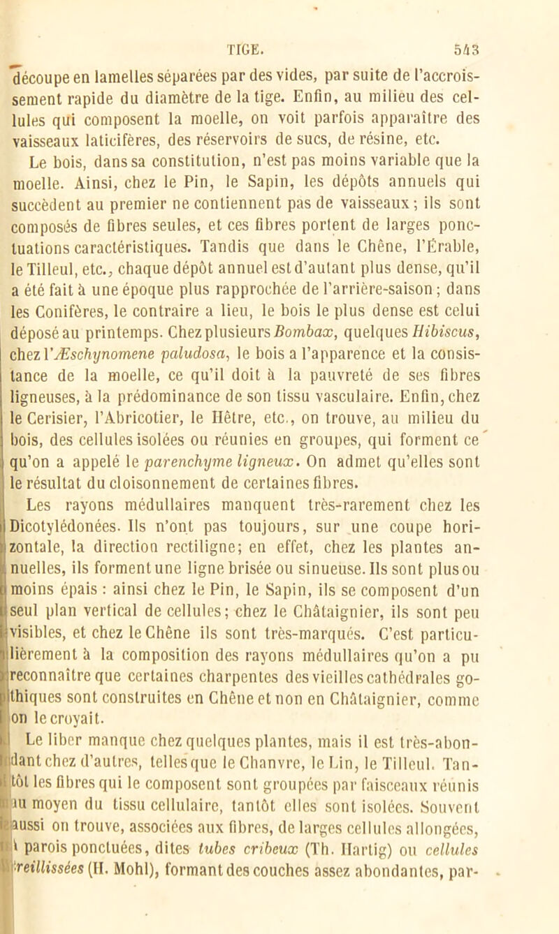 découpe en lamelles séparées par des vides, par suite de l’accrois- sement rapide du diamètre de la tige. Enfin, au milieu des cel- lules qui composent la moelle, on voit parfois apparaître des vaisseaux laticifères, des réservoirs de sucs, de résine, etc. Le bois, dans sa constitution, n’est pas moins variable que la moelle. Ainsi, chez le Pin, le Sapin, les dépôts annuels qui succèdent au premier ne contiennent pas de vaisseaux; ils sont composés de fibres seules, et ces fibres porlent de larges ponc- tuations caractéristiques. Tandis que dans le Chêne, l’Erable, le Tilleul, etc., chaque dépôt annuel est d’aulant plus dense, qu’il a été fait à une époque plus rapprochée de l’arrière-saison ; dans les Conifères, le contraire a lieu, le bois le plus dense est celui déposé au printemps. Chez plusieurs Bombax, quelques Hibiscus, chez VÆschynomene paludosa, le bois a l’apparence et la consis- tance de la moelle, ce qu’il doit à la pauvreté de ses fibres ligneuses, à la prédominance de son tissu vasculaire. Enfin, chez le Cerisier, l’Abricotier, le Hêtre, etc., on trouve, au milieu du bois, des cellules isolées ou réunies en groupes, qui forment ce qu’on a appelé le parenchyme ligneux. On admet qu’elles sont le résultat du cloisonnement de certaines fibres. Les rayons médullaires manquent très-rarement chez les Dicotylédonées. Ils n’ont pas toujours, sur une coupe hori- zontale, la direction rectiligne; en effet, chez les plantes an- nuelles, ils forment une ligne brisée ou sinueuse. Ils sont plus ou Imoins épais : ainsi chez le Pin, le Sapin, ils se composent d’un seul plan vertical de cellules; chez le Châtaignier, ils sont peu visibles, et chez le Chêne ils sont très-marqués. C’est particu- ïlièrement à la composition des rayons médullaires qu’on a pu reconnaître que certaines charpentes des vieilles cathédrales go- lithiques sont construites en Chêne et non en Châtaignier, comme on le croyait. Le liber manque chez quelques plantes, mais il est très-abon- dant chez d’autres, telles que le Chanvre, le Lin, le Tilleul. Tan- 1 tôt les fibres qui le composent sont groupées par faisceaux réunis tnu moyen du tissu cellulaire, tantôt elles sont isolées. Souvent aussi on trouve, associées aux fibres, de larges cellules allongées, 1 parois ponctuées, dites tubes cribcux (Th. Ilartig) ou cellules ■reillissées (H. Mohl), formant des couches assez abondantes, par- -