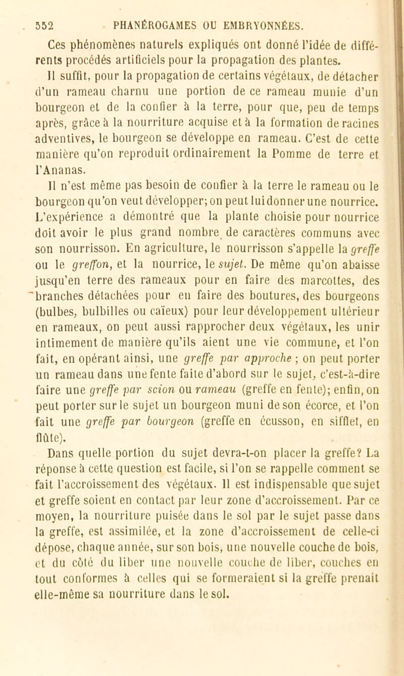 Ces phénomènes naturels expliqués ont donné l’idée de diffé- rents procédés artificiels pour la propagation des plantes. Il suffit, pour la propagation de certains végétaux, de détacher d’un rameau charnu une portion de ce rameau munie d’un bourgeon et de la confier à la terre, pour que, peu de temps après, grâce à la nourriture acquise et à la formation déracinés adventives, le bourgeon se développe en rameau. C’est de cette manière qu’on reproduit ordinairement la Pomme de terre et l’Ananas. Il n’est même pas besoin de confier à la terre le rameau ou le bourgeon qu’on veut développer; on peut luidonner une nourrice. L’expérience a démontré que la plante choisie pour nourrice doit avoir le plus grand nombre de caractères communs avec son nourrisson. En agriculture, le nourrisson s’appelle la greffe ou le greffon, et la nourrice, le sujet. De même qu’on abaisse jusqu’en terre des rameaux pour en faire des marcottes, des 'branches détachées pour en faire des boutures, des bourgeons (bulbes, bulbilles ou caïeux) pour leur développement ultérieur en rameaux, on peut aussi rapprocher deux végétaux, les unir intimement de manière qu’ils aient une vie commune, et l’on fait, en opérant ainsi, une greffe par approche ; on peut porter un rameau dans une fente faite d’abord sur le sujet, c’est-ii-dire faire une greffe par scion ou rameau (greffe en fente); enfin, on peut porter sur le sujet un bourgeon muni de son écorce, et l’on fait une greffe par bourgeon (greffe en écusson, en sifflet, en flûte). Dans quelle portion du sujet devra-t-on placer la greffe? La réponse à cette question est facile, si l’on se rappelle comment se fait l’accroissement des végétaux. 11 est indispensable que sujet et greffe soient en contact par leur zone d’accroissement. Par ce moyen, la nourriture puisée dans le sol par le sujet passe dans la greffe, est assimilée, et la zone d’accroissement de celle-ci dépose, chaque année, sur son bois, une nouvelle couche de bois, et du côté du liber une nouvelle couche de liber, couches en tout conformes à celles qui se formeraient si la greffe prenait elle-même sa nourriture dans le sol.