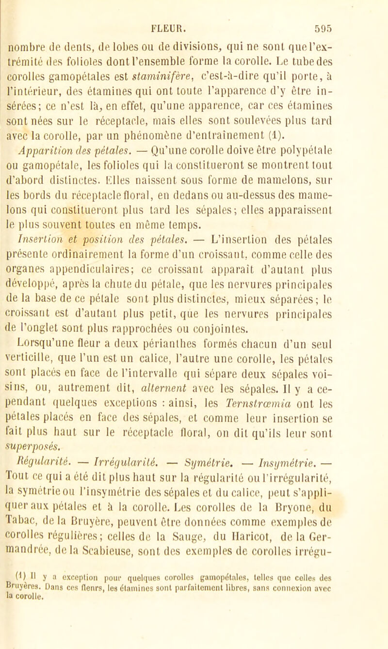 nombre de dénis, de lobes ou de divisions, qui ne sont que l’ex- trémité des folioles dont l’ensemble forme la corolle. Le tube des corolles gamopétales est staminifère, c’est-à-dire qu’il porte, à l’intérieur, des étamines qui ont toute l’apparence d’y être in- sérées; ce n’est là, en effet, qu’une apparence, car ces étamines sont nées sur le réceptacle, mais elles sont soulevées plus tard avec la corolle, par un phénomène d’entrainement (1). Apparition des pétales. — Qu’une corolle doive être polypétale ou gamopétale, les folioles qui la constitueront se montrent tout d’abord distinctes. Elles naissent sous forme de mamelons, sur les bords du réceptacle floral, en dedans ou au-dessus des mame- lons qui constitueront plus tard les sépales; elles apparaissent le plus souvent toutes en même temps. Insertion et position des pétales. — L’insertion des pétales présente ordinairement la forme d’un croissant, comme celle des organes appendiculaires; ce croissant apparaît d’autant plus développé, après la chute du pétale, que les nervures principales de la base de ce pétale sont plus distinctes, mieux séparées; le croissant est d’autant plus petit, que les nervures principales de l’onglet sont plus rapprochées ou conjointes. Lorsqu’une fleur a deux périanthes formés chacun d’un seul verticille, que l’un est un calice, l’autre une corolle, les pétales sont placés en face de l’intervalle qui sépare deux sépales voi- sins, ou, autrement dit, alternent avec les sépales. Il y a ce- pendant quelques exceptions : ainsi, les Ternstrcemia ont les pétales placés en face des sépales, et comme leur insertion se fait plus haut sur le réceptacle floral, on dit qu’ils leur sont superposés. Régularité. — Irrégularité. — Symétrie. — Insymétrie. — Tout ce qui a ôté dit plus haut sur la régularité ou l’irrégularité, lasymétrieou l’insymétrie des sépales et ducalice, peut s’appli- quer aux pétales et à la corolle. Les corolles de la Bryone, du Tabac, de la Bruyère, peuvent être données comme exemples de corolles régulières ; celles de la Sauge, du Haricot, de la Ger- mandrée, de la Scabieuse, sont des exemples de corolles irrégu- (') Il y a exception pour quelques corollos gamopétales, telles que colles des Bruyères. Dans ces flenrs, les étamines sont parfaitement libres, sans connexion avec la corolle.