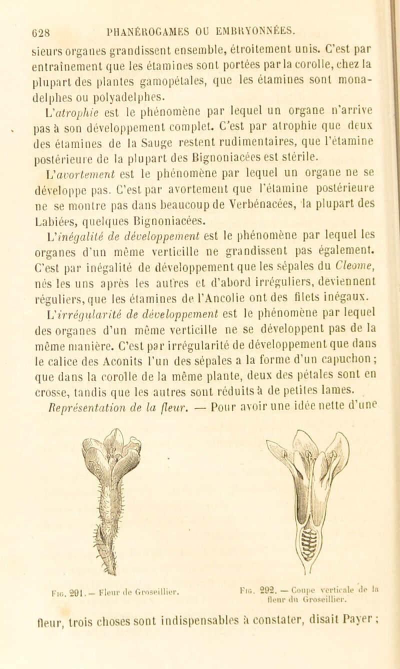 sieurs organes grandissent ensemble, étroitement unis. C’est par entraînement que les étamines sont portées par la corolle, chez la plupart des plantes gamopétales, que les étamines sont mona- delphesou polyadelplies. L'atrophie est le phénomène par lequel un organe n’arrive pas à son développement complet. C’est par atrophie que deux des étamines de la Sauge restent rudimentaires, que l’étamine postérieure de la plupart des Bignoniacées est stérile. L'avortement est le phénomène par lequel un organe ne se développe pas. C’est par avortement que l’étamine postérieure ne se montre pas dans beaucoup de Verbénacées, la plupart des Labiées, quelques Bignoniacées. L'inégalité de développement est le phénomène par lequel les organes d’un même verlicille ne grandissent pas également. C’est par inégalité de développement que les sépales du Cleome, nés les uns après les autres et d’abord irréguliers, deviennent réguliers, que les étamines de l’Ancolie ont des filets inégaux. L'irrégularité de développement est le phénomène par lequel des organes d’un même verticille ne se développent pas de la même manière. C’est par irrégularité de développement que dans le calice des Aconits l’un des sépales a la forme d’un capuchon; que dans la corolle de la même plante, deux des pétales sont en crosse, tandis que les autres sont réduits h de petites lames. Représentation de la fleur. — Pour avoir une idée nette d une fleur, trois choses sont indispensables ;i constater, disait Payer; Fig. 292. —Coupe verticale de In fleur du Groseillier.