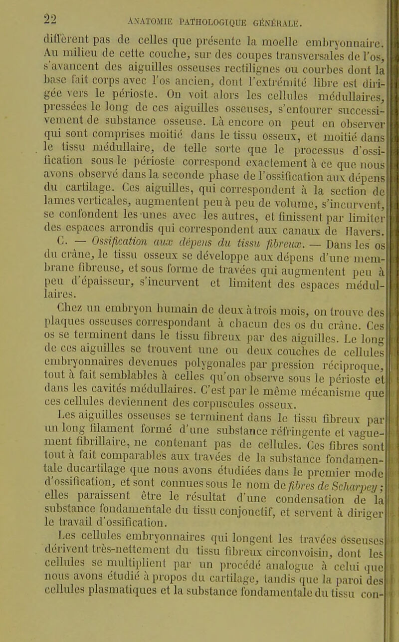 difl'cient pas de celles que présente la moelle embryoniiaii Au milieu de cette couche, sur des coupes transversales de 1'. s'avancent des aiguilles osseuses rectilignes ou courbes donl base fait corps avec l'os ancien, dont l'exlrémilé libre est du gée vers le péiiosle. On voit alors les cellules méduUair. . pressées le long de ces aiguilles osseuses, s'entourer succès vement de substance osseuse. Là encore on peut en obser\ qui sont comprises moitié dans le tissu osseux, et moitié du; le tissu médullaire, de telle sorte que le processus d'o~ fication sous le périoste correspond exactement à ce que n( h avons observé dans la seconde phase de l'ossification aux dépu du cartilage. Ces aiguilles, qui correspondent à la section . lames verticales, augmentent peu à peu de volume, s'incurveni. se confondent les unes avec les autres, et finissent par limil« i ■ des espaces arrondis qui correspondent aux canaiLx de Havcrs. | C. — Oasification aux dépens du tissu fibreux. — Dans les (i> 1 du crâne, le tissu osseux se développe aux dépens d'une meni^ brane fibreuse, et sous forme de travées qui augmentent peu ;i peu d'épaisseur, s'incurvent et limitent des espaces médul- laires. Chez un embryon humain de deuxàtrois mois, on trouve d. - plaques osseuses correspondant à chacun des os du crâne. Ci ^ os se terminent dans le tissu fibreux par des aiguilles. Le Ioul; de ces aiguilles se trouvent une ou deux couches de cellule embryonnaires devenues polygonales par pression réciproque, tout à fait semblables k celles qu'on observe sous le périoste et dans les cavités médullaires. C'est parle même mécanisme que ces cellules deviennent des corpuscules osseux. Les aiguilles osseuses se terminent dans le tissu fibreux par un long filament formé d'une substance réfringente et vague- ment fiJirillaire, ne contenant pas de cellules. Ces fibres sont tout à fait compai'ables aux travées de la substance fondamen- tale ducartilage que nous avons étudiées dans le premier modo d'ossification, et sont connues sous le nom de fibres de Scharpo/ ■ elles paraissent être le résultat d'une condensation de la substance fondamentale du tissu conjonctif, et servent à diriger le travail d'ossification. ° Les cellules embryonnaires qui longent les travées osseuses dérivent très-nettement du tissu fibreux circonvoisin, dont les I celhiles se multiplient par un procédé analogue à celui que nous avons étudié à propos du cartilage, tandis que la paroi des cellules plasmatiques et la substance fondamentale du tissu con- ■ ï