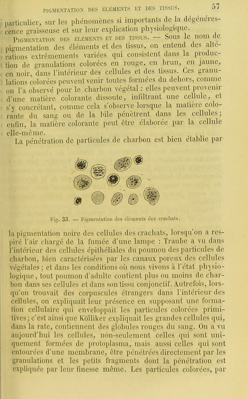 ■ parUcuUoi-, sur les phénomènes si importants de la dégénéres- cence graisseuse et sur leur explication physiologique. Pigmentation des éléments et des tissus. — Sous le nom de i picTiientation des éléments et des tissus, on entend des alte- i rations extrômemenls variées qui consistent dans la produc- I tien de granulations colorées en rouge, en hrun, en jaune, i en noir, dans l'intérieur des cellules et des tissus. Ces granu- lations colorées peuvent venir toutes formées du dehors, comme on l'a observé pour le charbon végétal : elles peuvent provenir . d'ime matière colorante dissoute, infiltrant une cellule, et - s'y concrétant, comme cela s'observe lorsque la matière colo- rante du sang ou de la bile pénètrent dans les cellules; enfin, la matière colorante peut être élaborée par la cellule elle-même. La pénétration de particules de charbon est bien établie par Fig. 33. — Pigmentation des «lùments des ciaclmts. la pigmentation nou-e des cellules des crachats, lorsqu'on a res- piré l'air chargé de la fumée d'une lampe : Traube a vu dans l'intérieur des cellules épithéliales du poumon des particules de charbon, bien caractérisées par les canaux poreux des cellules végétales; et dans les conditions oïi nous vivons à l'état physio- logique, tout poumon d'adulte contient plus ou moins de char- bon dans ses cellules et dans son tissu conjonctif. Autrefois, lors- qu'on trouvait des corpuscules étrangers dans l'intérieur des cellules, on expliquait leur présence en supposant une forma- tion cellulaire qui enveloppait les particules colorées primi- tives; c'est ainsi que KoUikor expliquait les grandes cellules qui, dans la l'atc, conlicnncnt des globules rouges du sang. On a vu aujourd'hui les cellules, non-seulement celles qui sont uni- quement formées de protoplasma, mais aussi celles qui sont cntoiu'ées d'une membrane, être pénétrées directement par les gi'anulations et les petits fragments dont la pénétration est expliquée par leur finesse même. Les particules colorées, par