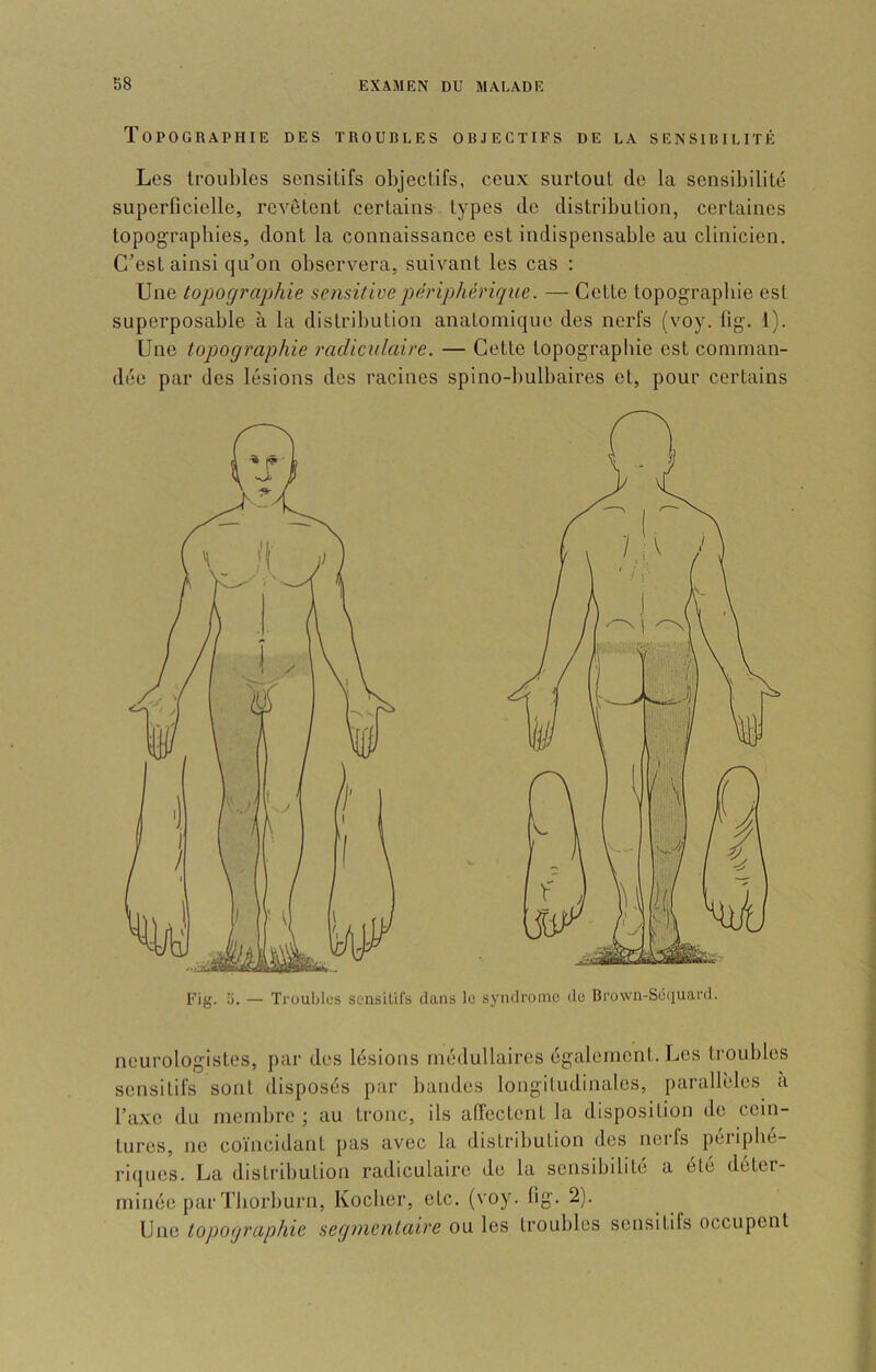 Topographie des troubles objectifs de la sensibilité Les troubles sensitifs objectifs, ceux surtout de la sensibilité superficielle, revêtent certains types de distribution, certaines topographies, dont la connaissance est indispensable au clinicien. C’est ainsi qu’on observera, suivant les cas : Une topographie sensitive périphérique. — Cette topographie est superposable à la distribution anatomique des nerfs (voy. fig. 1). Une topographie radiculaire. — Cette topographie est comman- dée par des lésions des racines spino-bulbaires et, pour certains neurologistes, par des lésions médullaires également. Les troubles sensitifs sont disposés par bandes longitudinales, parallèles a l’axe du membre ; au tronc, ils affectent la disposition de cein- tures, ne coïncidant pas avec la distribution des nerfs périphé- riques. La distribution radiculaire de la sensibilité a été déter- minée par Tborburn, Kocher, etc. (voy. fig. 2). Une topographie segmentaire ou les troubles sensitifs occupent