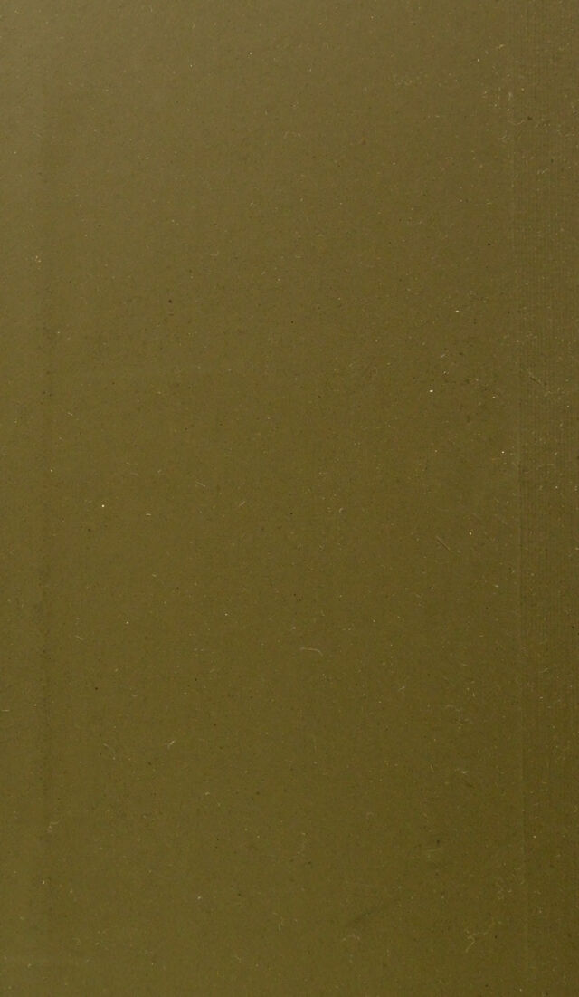 digitised image 2