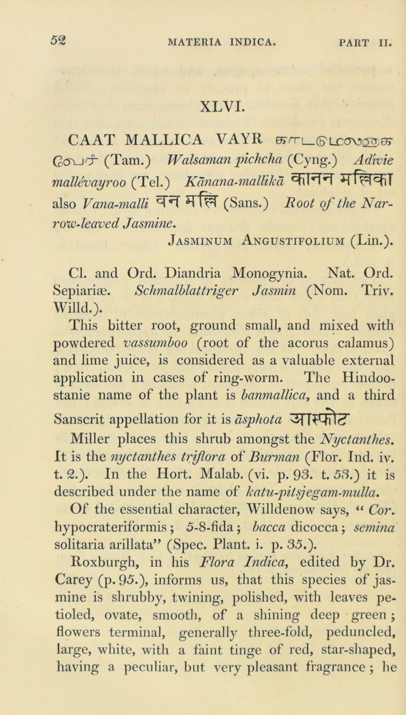 XLVI. CAAT MALLICA VAYR CcjvJ'X (Tam.) Walsaman pichcha (Cyng.) Adivie mailer ayroo (Tel.) Kanana-mallika ^n*T*T also Vana-malli ^T*T (Sans.) Boot of the Nar- roxv-leaved Jasmine. Jasminum Angustifolium (Lin.). Cl. and Ord. Diandria Monogynia. Nat. Old. Sepiariae. Schmalblattriger Jasmin (Nom. Triv. Willd.). This bitter root, ground small, and mixed with powdered rcissumboo (root of the acorus calamus) and lime juice, is considered as a valuable external application in cases of ring-worm. The Hindoo- stanie name of the plant is banmallica, and a third Sanscrit appellation for it is asphota 3TTWte- Miller places this shrub amongst the Nyctanthes. It is the nyctanthes triflora of Barman (Flor. Ind. iv. t. 2.). In the Hort. Malab. (vi. p. 93. t. 53.) it is described under the name of hatu-pitsj egam-mulla. Of the essential character, Willdenow says, “ Cor. hypocrateriformis ; 5-8-fkla; bacca dicocca; semina solitaria arillata,, (Spec. Plant, i. p. 35.). Roxburgh, in his Flora Indica, edited by Dr. Carey (p. 95.), informs us, that this species of jas- mine is shrubby, twining, polished, with leaves pe- tioled, ovate, smooth, of a shining deep green; flowers terminal, generally three-fold, peduncled, large, white, with a faint tinge of red, star-shaped, having a peculiar, but very pleasant fragrance ; he