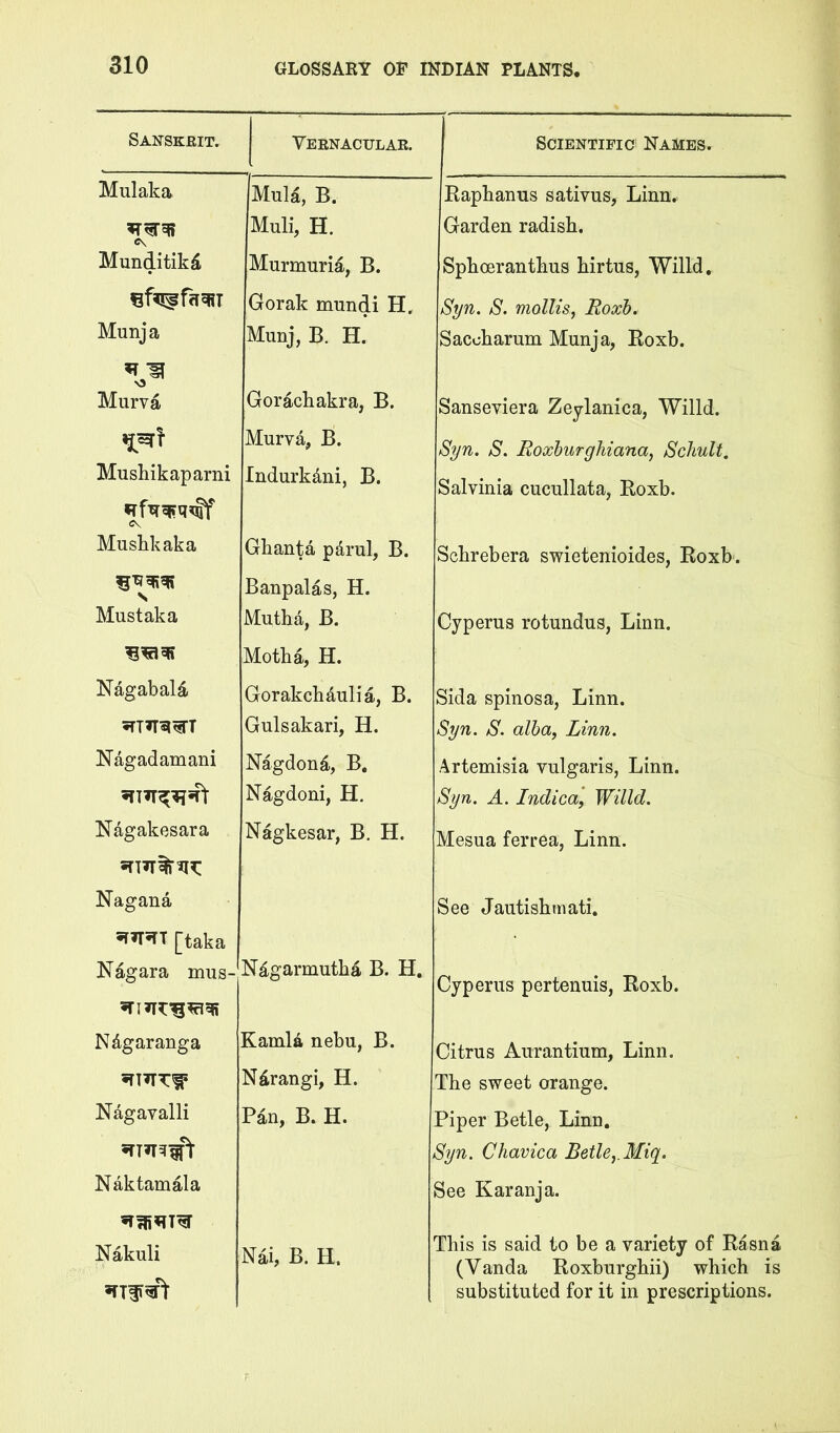 Sanskrit. Vernacular. Mulaka Mula, B. Mull, H. Munditikd Murmuria, B. Gorak mundi H. Munja Munj, B. H. Murva Gorachakra, B. Murva, B. Mushikaparni Indurkdni, B. Mushkaka Ghanta pdrul, B. N Banpalas, H. Mustaka Vlutha, B. Vlotha, H. Nagabald Gorakchaulia, B. Gulsakari, H. Nagadamani Nagdond, B, Nagdoni, H, Nagakesara Nagkesar, B. H. Nagana [taka Nagara mus- Ndgarmutha B. H Ndgaranga Kaml4 nebu, B. Ndrangi, H. Nagavalli Pan, B. H. Nak tarn ala Nakuli Nai, B. H. Scientific Names. Eaphanus sativus, Linn. Garden radish, Sphoeranthus hirtus, Willd, Syn. S. mollis, Roxh, Sacoharum Munja, Eoxb. Sanseviera Zeylanica, Willd. Syn. S. Roxhurghiana, Scliult, Salvinia cucullata/Eoxb. Scbrebera swietenioides, Eoxb. Cyperus rotundas, Linn, Sida spinosa, Linn. Syn. S. alba, Linn. Artemisia vulgaris, Linn. Syn. A. Indica, Willd. Mesua ferrea, Linn. See Jautisbmati. Cyperus pertenuis, Eoxb. Citrus Aurantium, Linn. The sweet orange. Piper Betle, Linn. Syn. Chavica Betle,. Miq. See Karanja. This is said to be a variety of Easna (Vanda Eoxburghii) which is substituted for it in prescriptions.