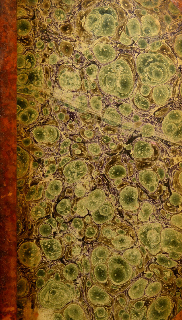 No text description is available for this image