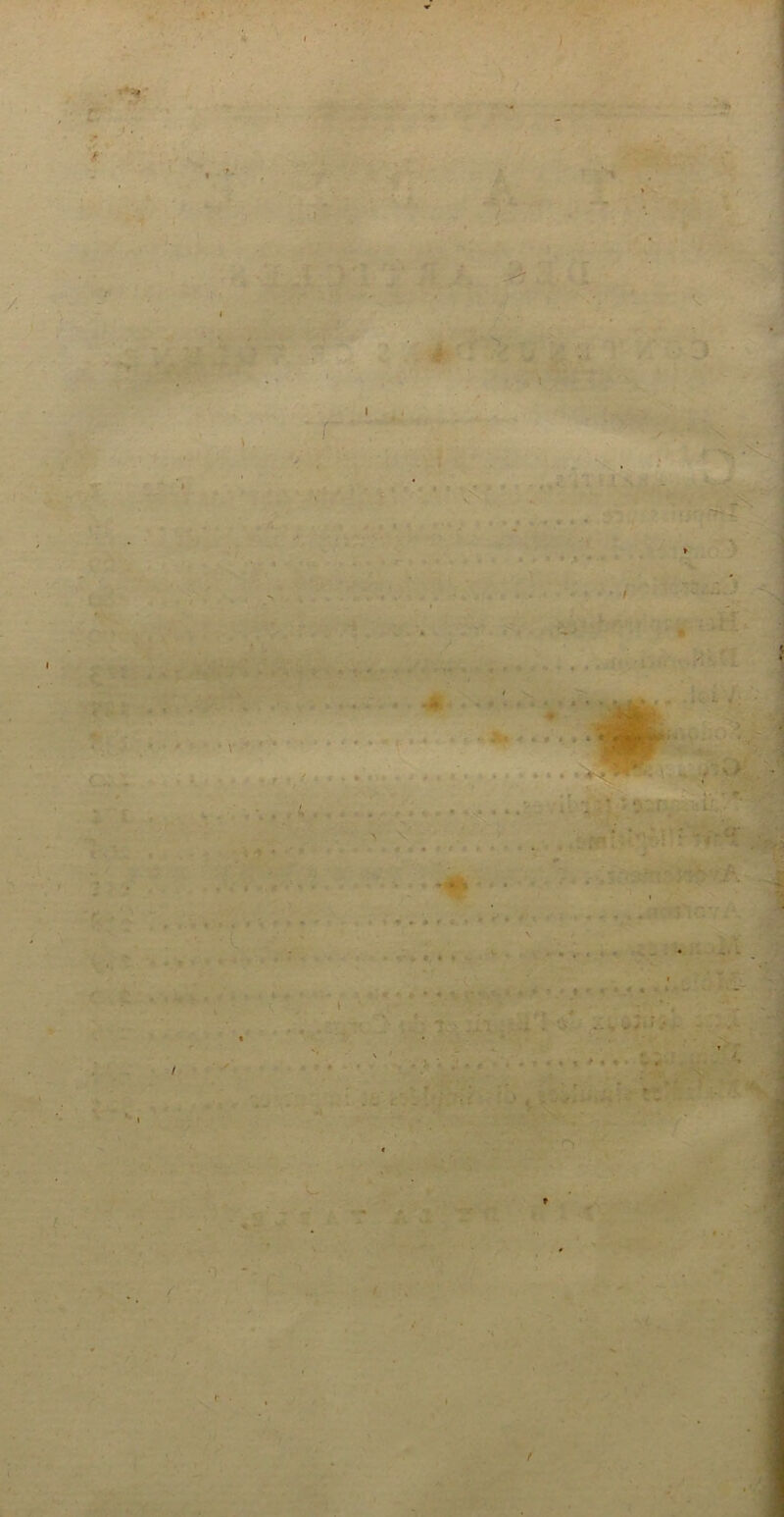 . >- /. . V . ' • - * * ■ , , . , t ■ ... * • . f . ' *«»».!>• . , , ’ ■ • < *» » • ' . • ’ t'- - T t J • . , 4 . • . • • * • - - A > v t «■ * « - » f* * .» » * i ;■(> .... -■**■■>/ • - . j ■, . ' » 'O T «• - ^ f V