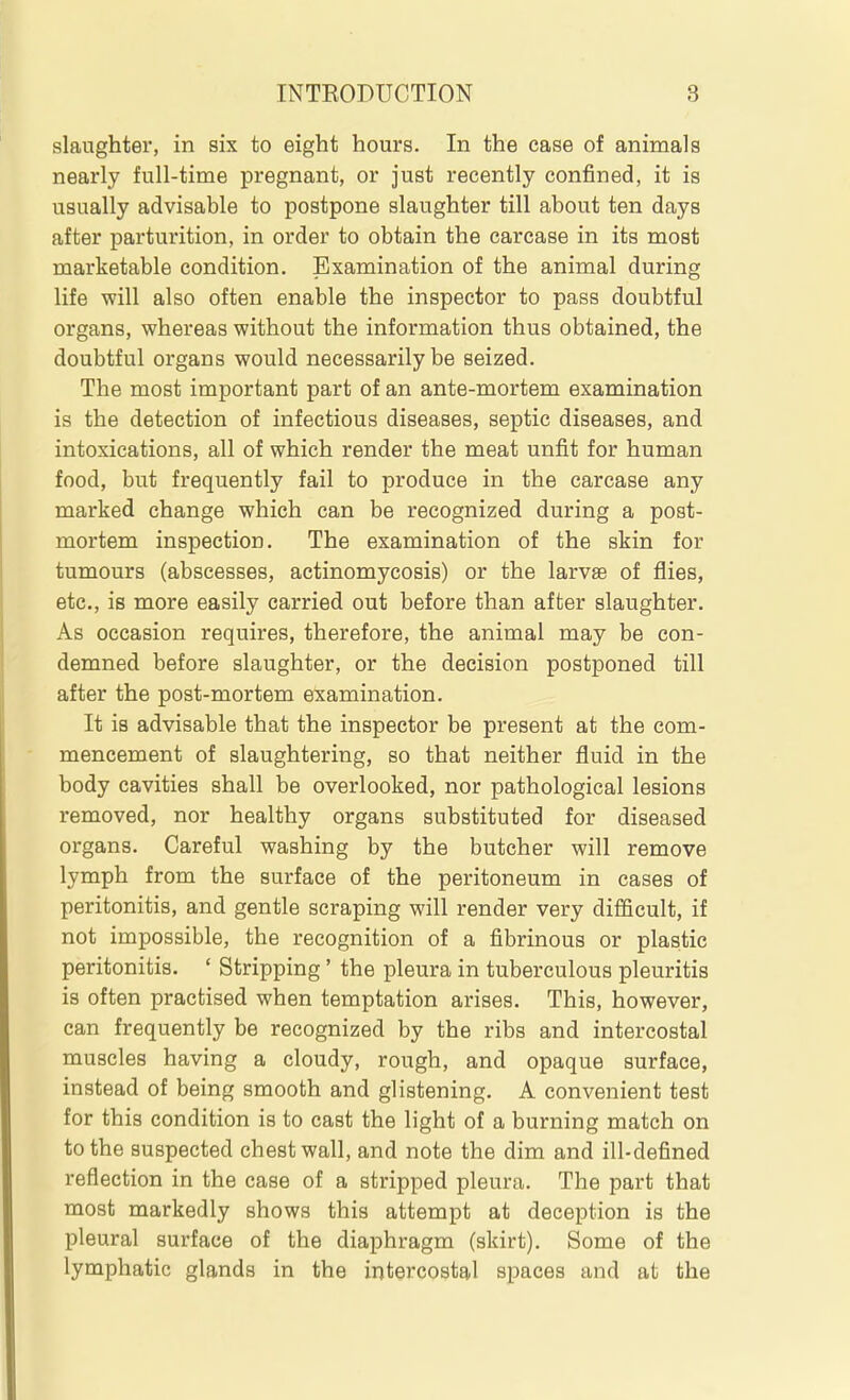 slaughter, in six to eight hours. In the case of animals nearly full-time pregnant, or just recently confined, it is usually advisable to postpone slaughter till about ten days after parturition, in order to obtain the carcase in its most marketable condition. Examination of the animal during life will also often enable the inspector to pass doubtful organs, whereas without the information thus obtained, the doubtful organs would necessarily be seized. The most important part of an ante-mortem examination is the detection of infectious diseases, septic diseases, and intoxications, all of which render the meat unfit for human food, but frequently fail to produce in the carcase any marked change which can be recognized during a post- mortem inspection. The examination of the skin for tumours (abscesses, actinomycosis) or the larvae of flies, etc., is more easily carried out before than after slaughter. As occasion requires, therefore, the animal may be con- demned before slaughter, or the decision postponed till after the post-mortem examination. It is advisable that the inspector be present at the com- mencement of slaughtering, so that neither fluid in the body cavities shall be overlooked, nor pathological lesions removed, nor healthy organs substituted for diseased organs. Careful washing by the butcher will remove lymph from the surface of the peritoneum in cases of peritonitis, and gentle scraping will render very difficult, if not impossible, the recognition of a fibrinous or plastic peritonitis. ' Stripping' the pleura in tuberculous pleuritis is often practised when temptation arises. This, however, can frequently be recognized by the ribs and intercostal muscles having a cloudy, rough, and opaque surface, instead of being smooth and glistening. A convenient test for this condition is to cast the light of a burning match on to the suspected chest wall, and note the dim and ill-defined reflection in the case of a stripped pleura. The part that most markedly shows this attempt at deception is the pleural surface of the diaphragm (skirt). Some of the lymphatic glands in the intercostal spaces and at the