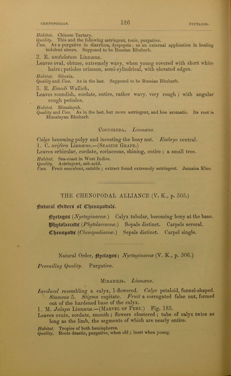 12G Habitat. Chinese Tartary. Quality. This and the following astringent, tonic, purgative. Uses. As a purgative in diarrhoea, dyspepsia; as an external application in healing indolent ulcers. Supposed to he Russian Rhubarb. 2. R. undulatum Linnaeus. Leaves oval, obtuse, extremely wavy, when young covered with short white hairs ; petioles crimson, semi-cylindrical, with elevated edges. Habitat. Siberia. Quality and Uses. As in the last. Supposed to he Russian Rhubarb. 3. R. Emodi Wallich. Leaves roundish, cordate, entire, rather wavy, very rough ; with angular rough petioles. Habitat. Himalayah. Quality and Uses. As in the last, but more astringent, and less aromatic. Its root is Himalayan Rhubarb. Coccoloba. Linnceus. Calyx becoming pulpy and investing the bony nut. Embryo central. 1. C. uvifera Linnaeus.—(Seaside Grape.) Leaves orbicular, cordate, coriaceous, shining, entire ; a small tree. Habitat. Sea-coast in West Indies. Quality. Astringent, sub-acid. Uses. Fruit succulent, eatable ; extract found extremely astringent. Jamaica Kino. THE CHENOPODAL ALLIANCE (V. Iv„ p. 505.) Natural ©rbrrs of (iTbrunpciIfaTs. iByrtaflO^ [Nyctaginacece.) Calyx tubular, becoming bony at the base. IBljutfllacrabs' (Phytolaccacece.) Sepals distinct. Carpels several. Cbniupflln* ('Chenopodiacece.) Sepals distinct. Carpel single. Natural Order, JJyctaflOjS; Nyctaginacece (V. K., p. 506.) Prevailing Quality. Purgative. Mirabilis. Linnceus. Involucel resembling a calyx, 1-flowered. Calyx petaloid, funnel-shaped. Stamens 5. Stigma capitate. Fruit a corrugated false nut, formed out of the hardened base of the calyx. 1. M. Jalapa Linnaeus.—(Marvel of Peru.) Fig. 185. Leaves ovate, cordate, smooth ; flowers clustered ; tube of calyx twice as long as the limb, the segments of which are nearly entire. Habitat. Tropics of both hemispheres. Quality. Roots drastic, purgative, when old ; inert when young.