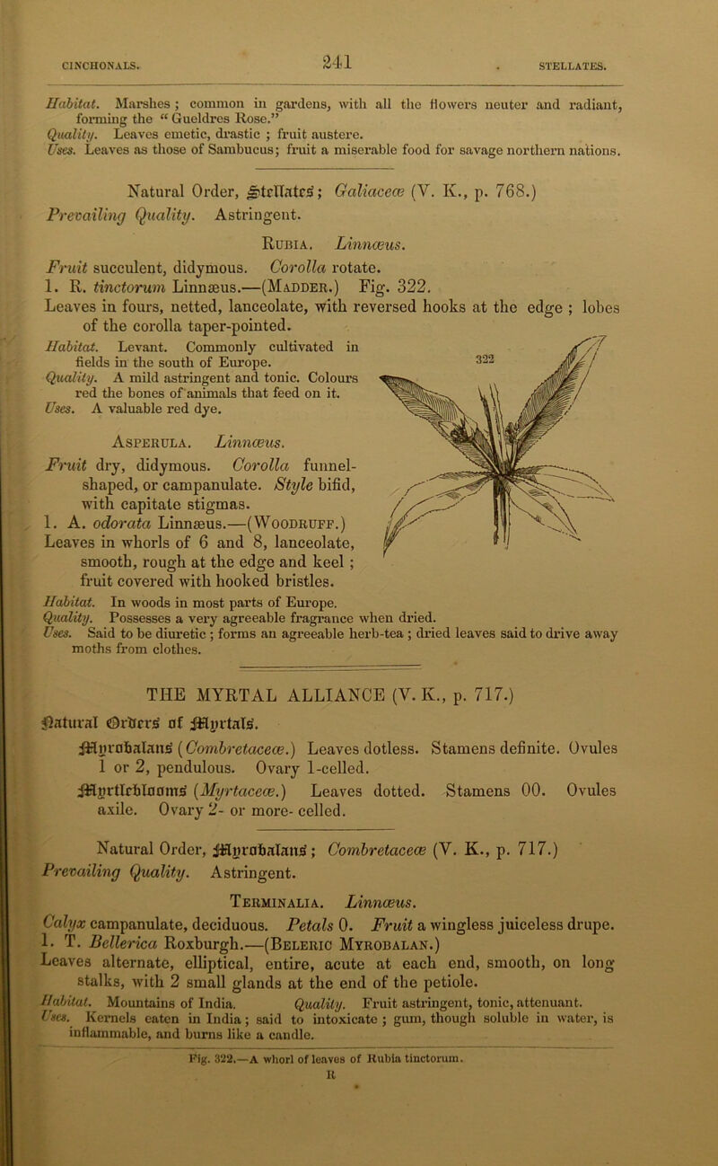 Habitat. Marshes ; common in gardens, with all the flowers neuter and radiant, forming the “ Gueldres Rose.” Quality. Leaves emetic, drastic ; fruit austere. Uses. Leaves as those of Sambucus; fruit a miserable food for savage northern nations. Natural Order, Galiacece (V. K., p. 768.) Prevailing Quality. Astringent. Rubia. Linnceus. Fruit succulent, didymous. Corolla rotate. 1. R. tinctorum Linnaeus.—(Madder.) Fig. 322. Leaves in fours, netted, lanceolate, with reversed hooks at the edge ; lobes of the corolla taper-pointed. Habitat. Levant. Commonly cultivated in fields in the south of Europe. Quality. A mild astringent and tonic. Colours red the bones of animals that feed on it. Uses. A valuable red dye. Asperula. Linnceus. Fruit dry, didymous. Corolla funnel- shaped, or campanulate. Style bifid, with capitate stigmas. 1. A. odoratci Linnaeus.—(Woodruff.) Leaves in whorls of 6 and 8, lanceolate, smooth, rough at the edge and keel ; fruit covered with hooked bristles. Habitat. In woods in most parts of Europe. Quality. Possesses a very agreeable fragrance when dried. Uses. Said to be diuretic ; forms an agreeable herb-tea ; dried leaves said to drive away moths from clothes. THE MYRTAL ALLIANCE (Y. Iv., p. 717.) Natural Others nf fHnitals. fHnvafcalaus' (Combretacece.) Leaves dotless. Stamens definite. Ovules 1 or 2, pendulous. Ovary 1-celled. (Myrtacece.) Leaves dotted. Stamens 00. Ovules axile. Ovary 2- or more- celled. Natural Order, iHyrafnalantf; Combretacece (Y. K., p. 717.) Prevailing Quality. Astringent. Terminali a. Linnceus. Calyx campanulate, deciduous. Petals 0. Fruit a wingless juiceless drupe. 1. T. Bellerica Roxburgh.—(Beleric Myrobalan.) Leaves alternate, elliptical, entire, acute at each end, smooth, on long- stalks, with 2 small glands at the end of the petiole. Habitat. Mountains of India. Quality. Fx-uit astringent, tonic, attenuant. Uses. Kernels eaten in India; said to intoxicate ; gum, though soluble in water, is inflammable, and burns like a candle. Fig. 322,—A whorl of leaves of Rubia tinctorum. R